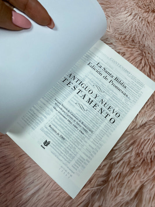 Biblias económicas tapa rústica papel blanco versión RV1960 edición promesas
