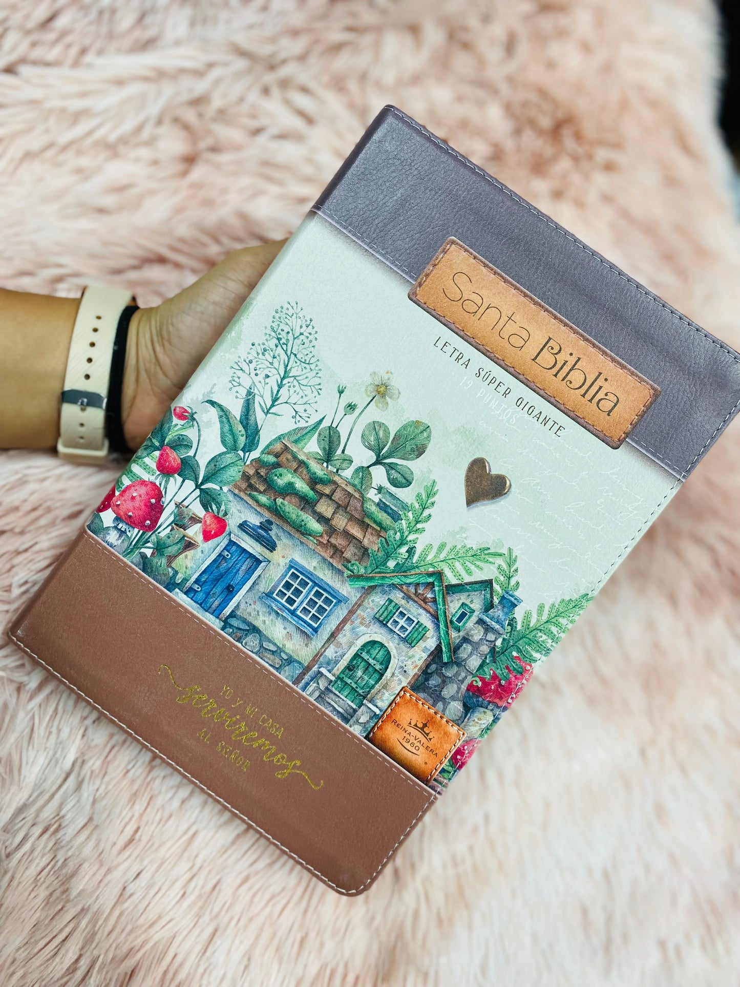 Biblia letra súper gigante 19 puntos con canto pintado versión RV1960 con concordancia