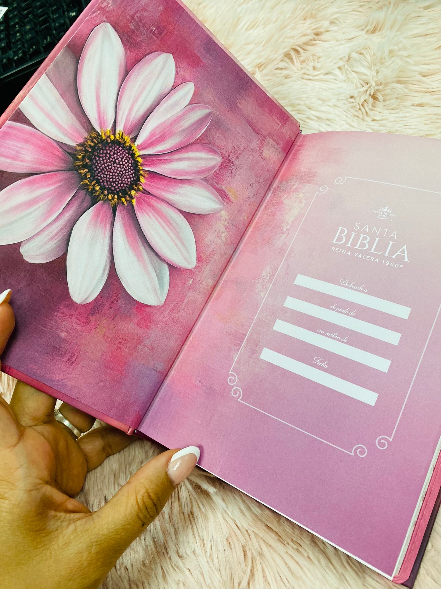 Biblia versión RV1960 de tapa dura diseño en relieve de letra grande 12 puntos con canto pintado, liga, palabras de Jesús en rojo con concordancia