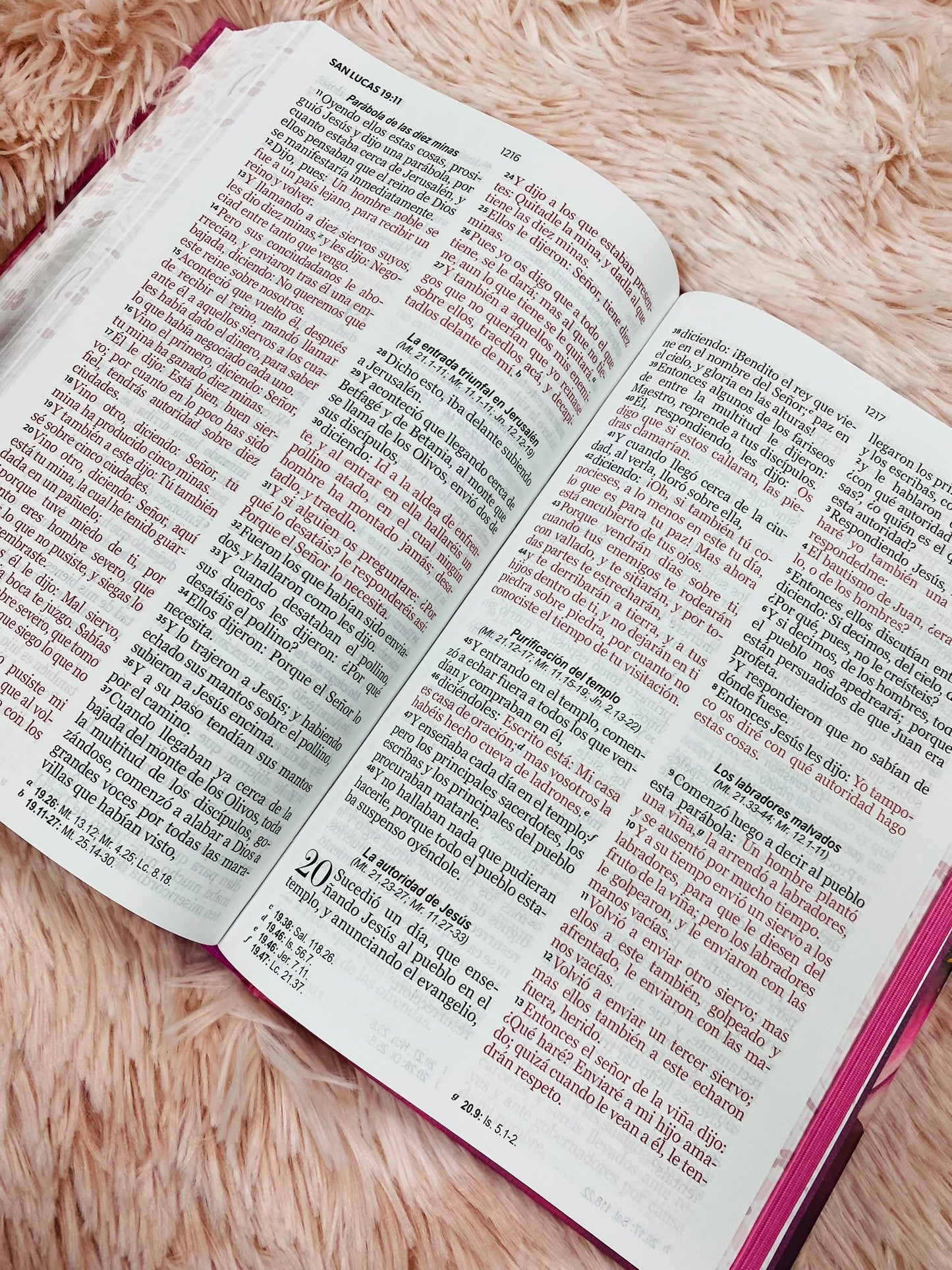 Biblia versión RV1960 de tapa dura diseño en relieve de letra grande 12 puntos con canto pintado, liga, palabras de Jesús en rojo con concordancia