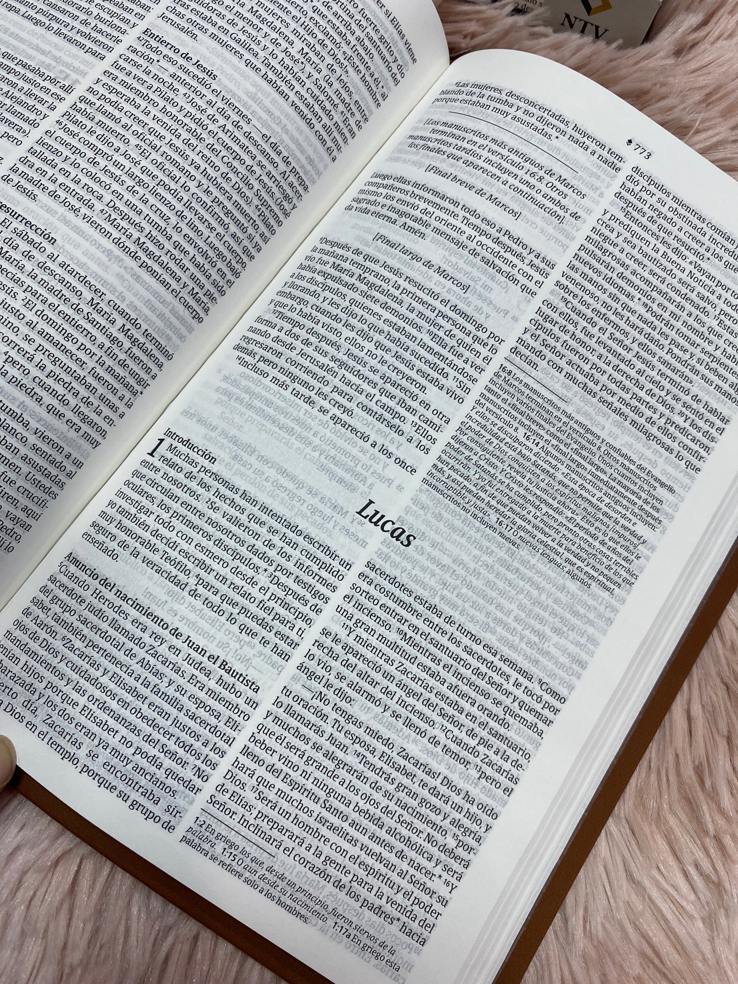 Biblia ultra delgada en símil piel letra mediana versión NTV: nueva traducción viviente