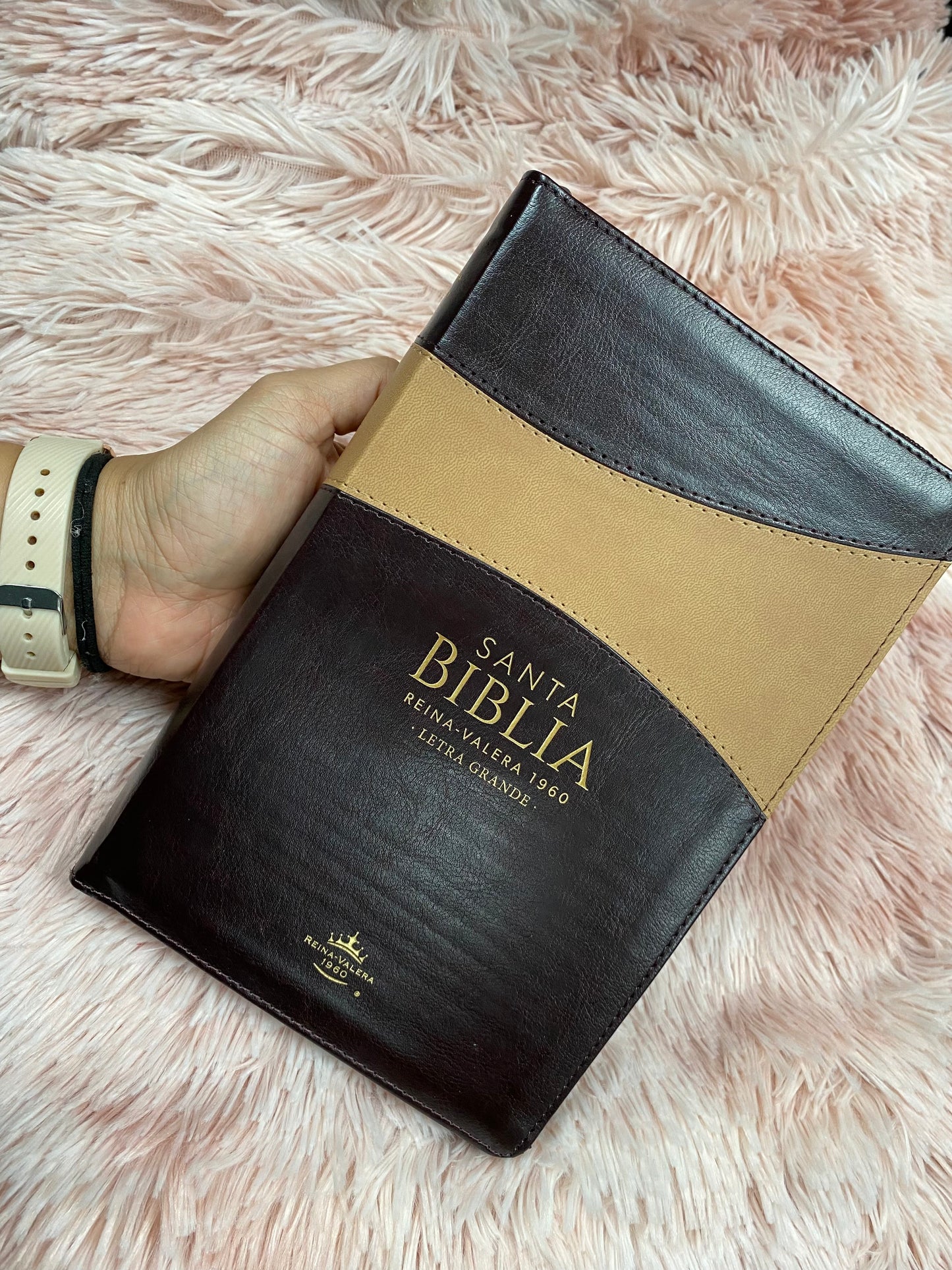 Biblia de letra grande 12 puntos de versión RV1960 con índice y cierre con concordancia en símil piel