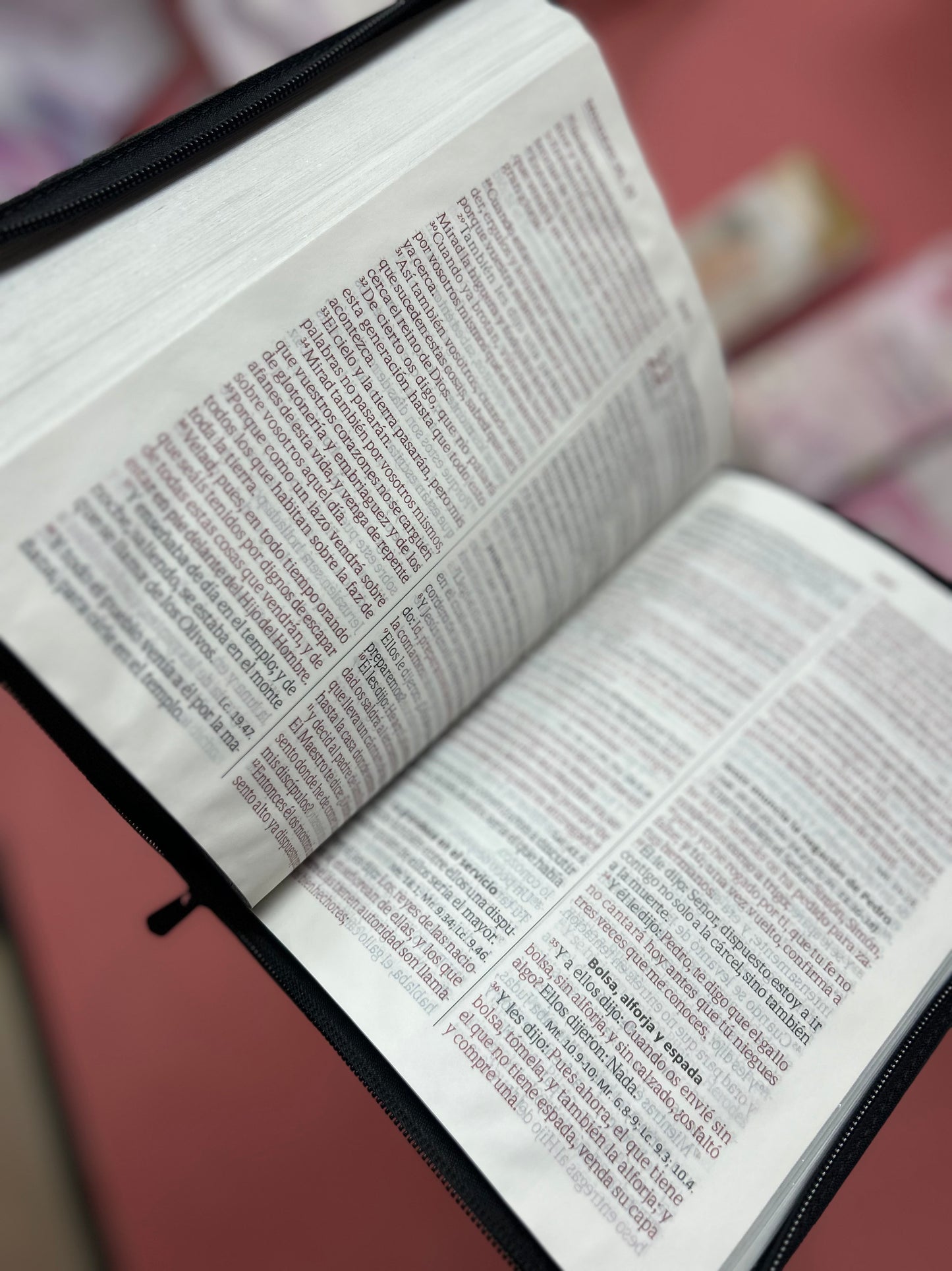 Biblia versión RV1960 letra gigante con cierre canto plateado palabras de Jesús en rojo