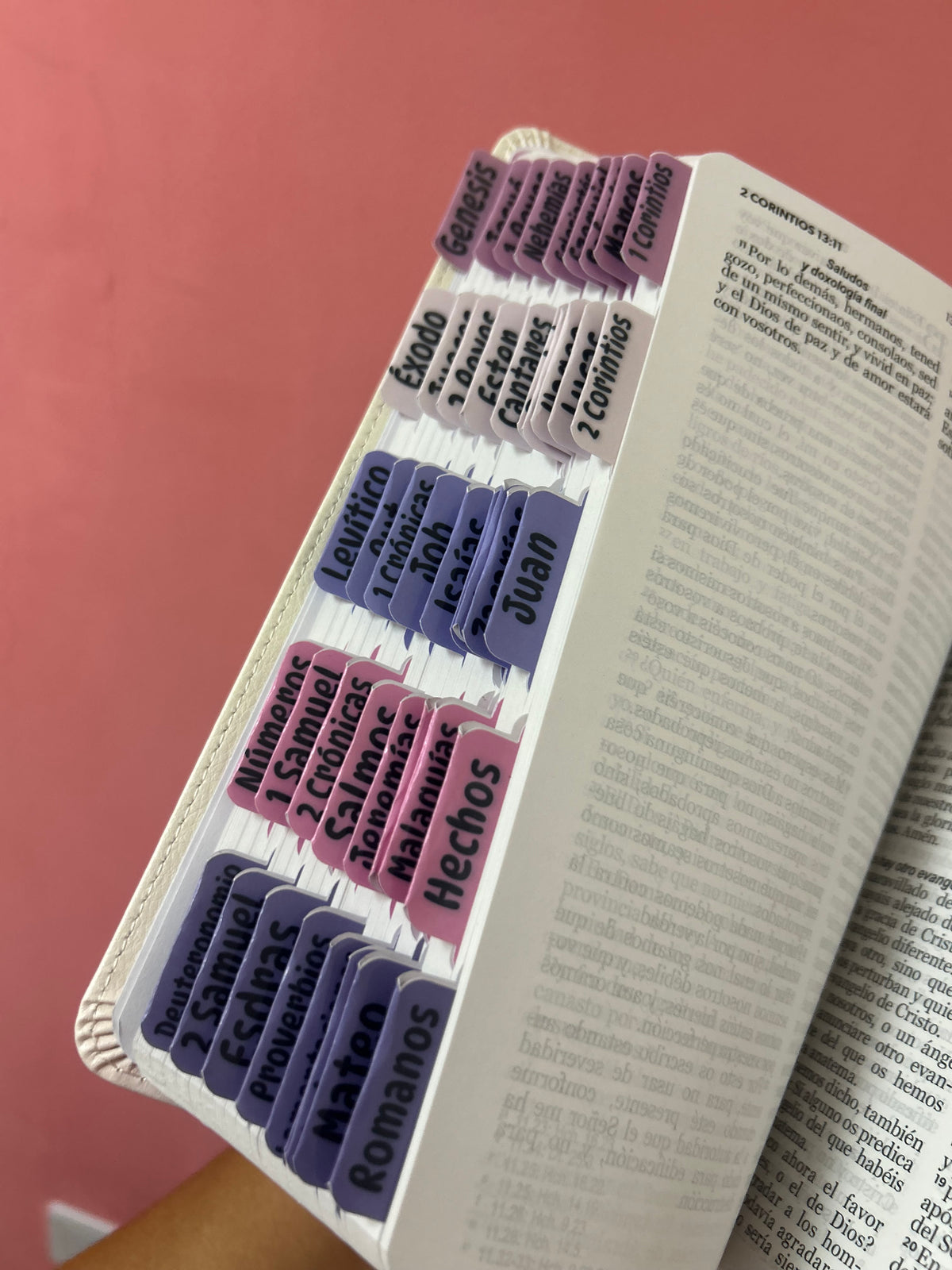 Biblia RV1960 letra grande 12 puntos + personalizado