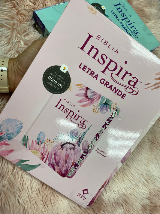 Biblia inspira artística versión NTV de letra grande