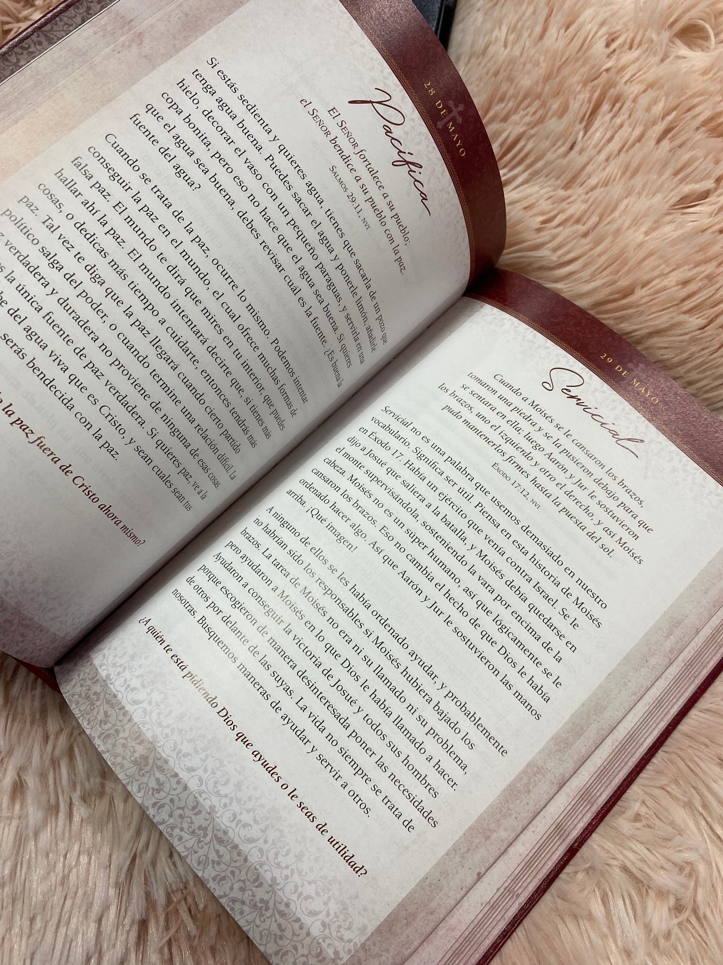 Libro devocional: una palabra diaria para las mujeres