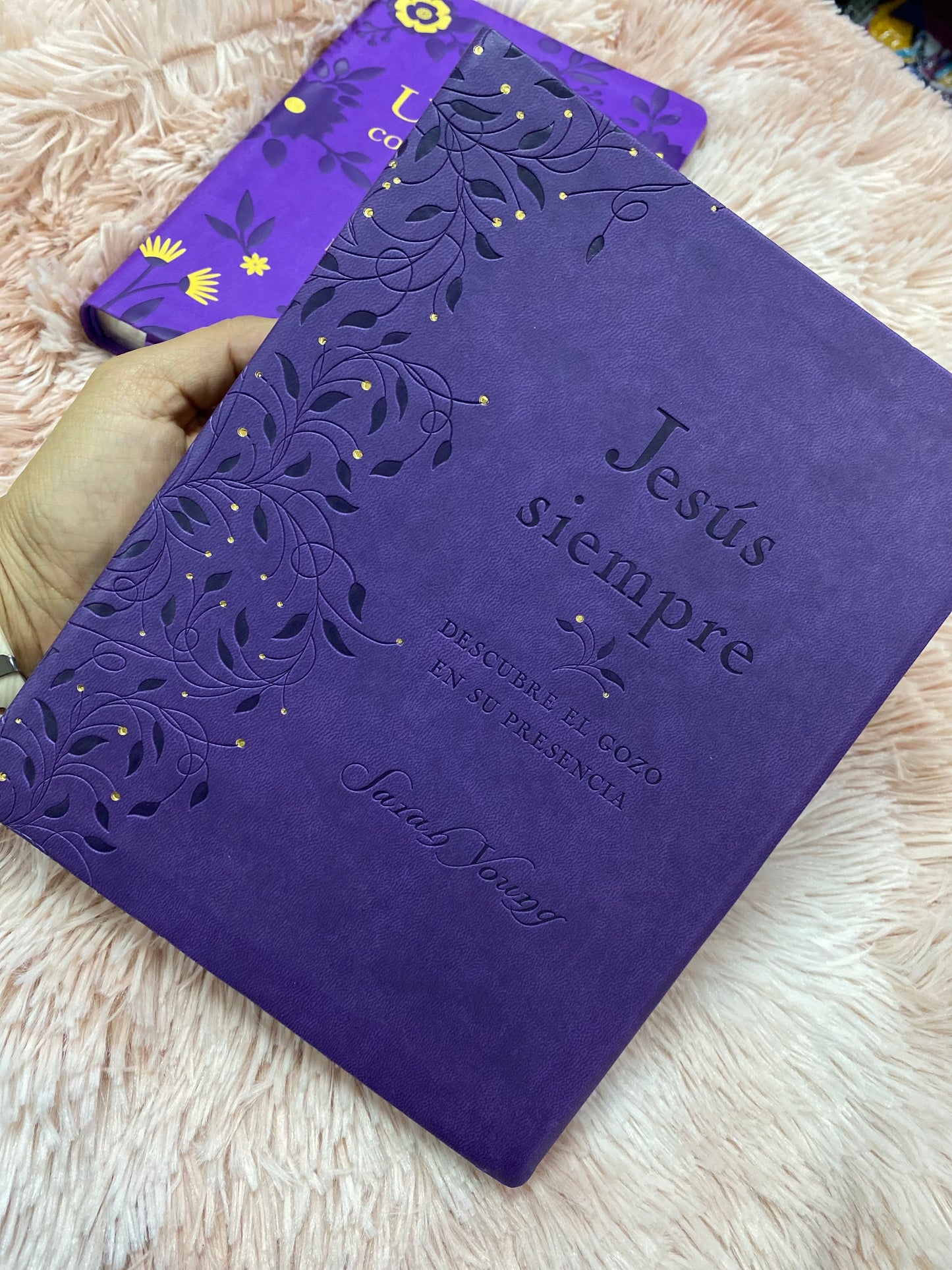 Libro devocional: Jesús siempre, descubre el gozo en su presencia