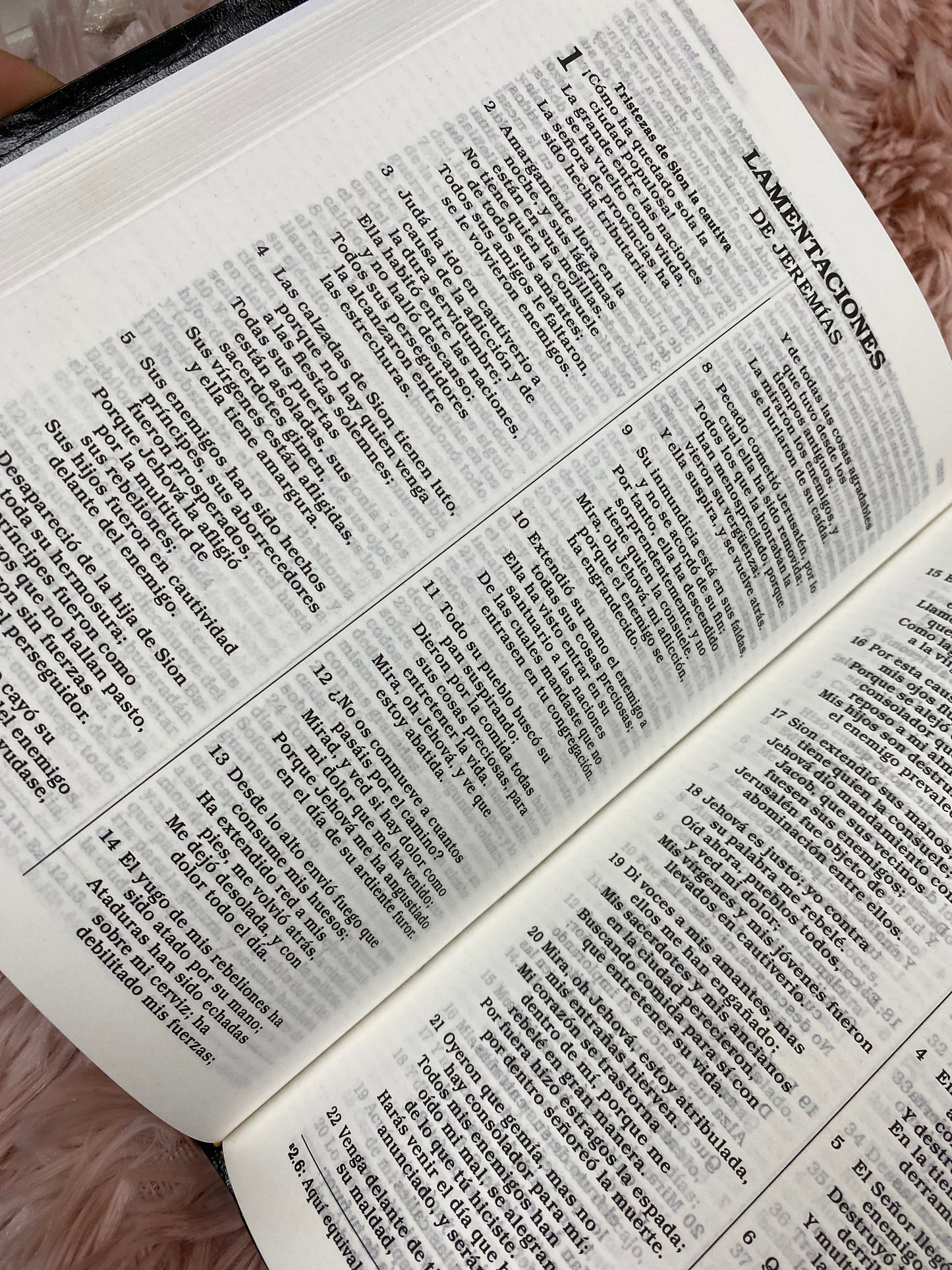 Biblia versión RV1960 tapa flexible letra mediana palabras de Jesús en rojo