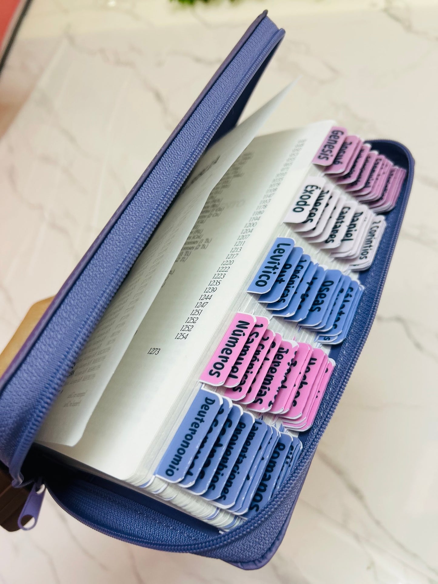 Biblia RV1960 de promesas con cierre letra grande 12 puntos + personalizado