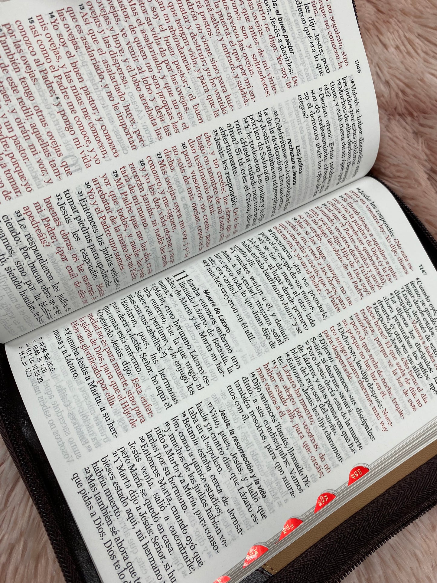 Biblia de letra grande 12 puntos de versión RV1960 con índice y cierre con concordancia en símil piel