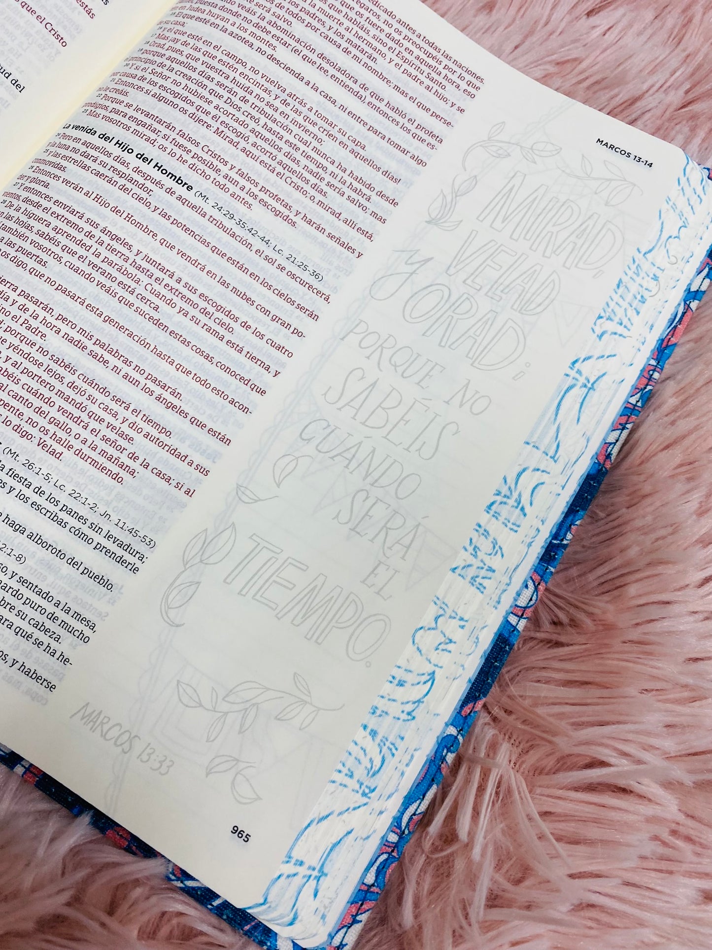 Biblia artística de apuntes e ilustrada letra mediana versión RV1960 canto floreado tapa dura y tela