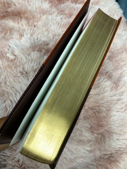 Biblia devocional los lenguajes del amor de Gary Chapman versión RV1960