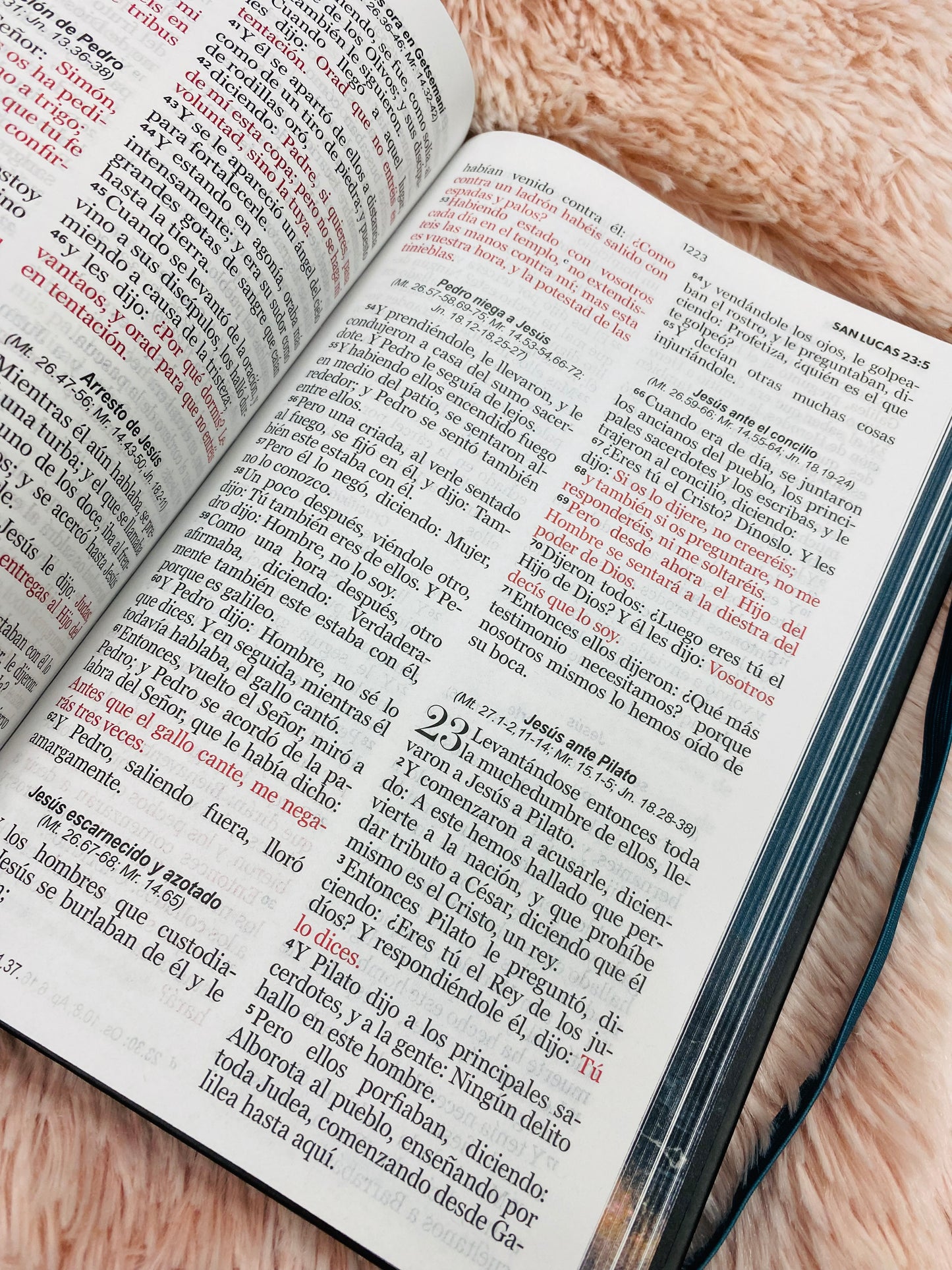 Biblia versión RV1960 de tapa dura diseño en relieve de letra grande 12 puntos con canto pintado, liga, palabras de Jesús en rojo con concordancia