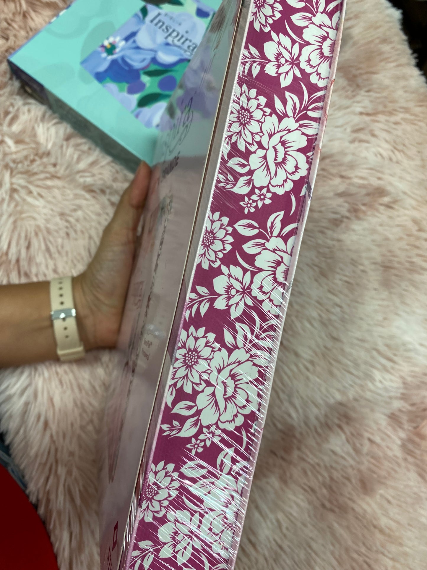 Biblia inspira artística versión NTV de letra grande