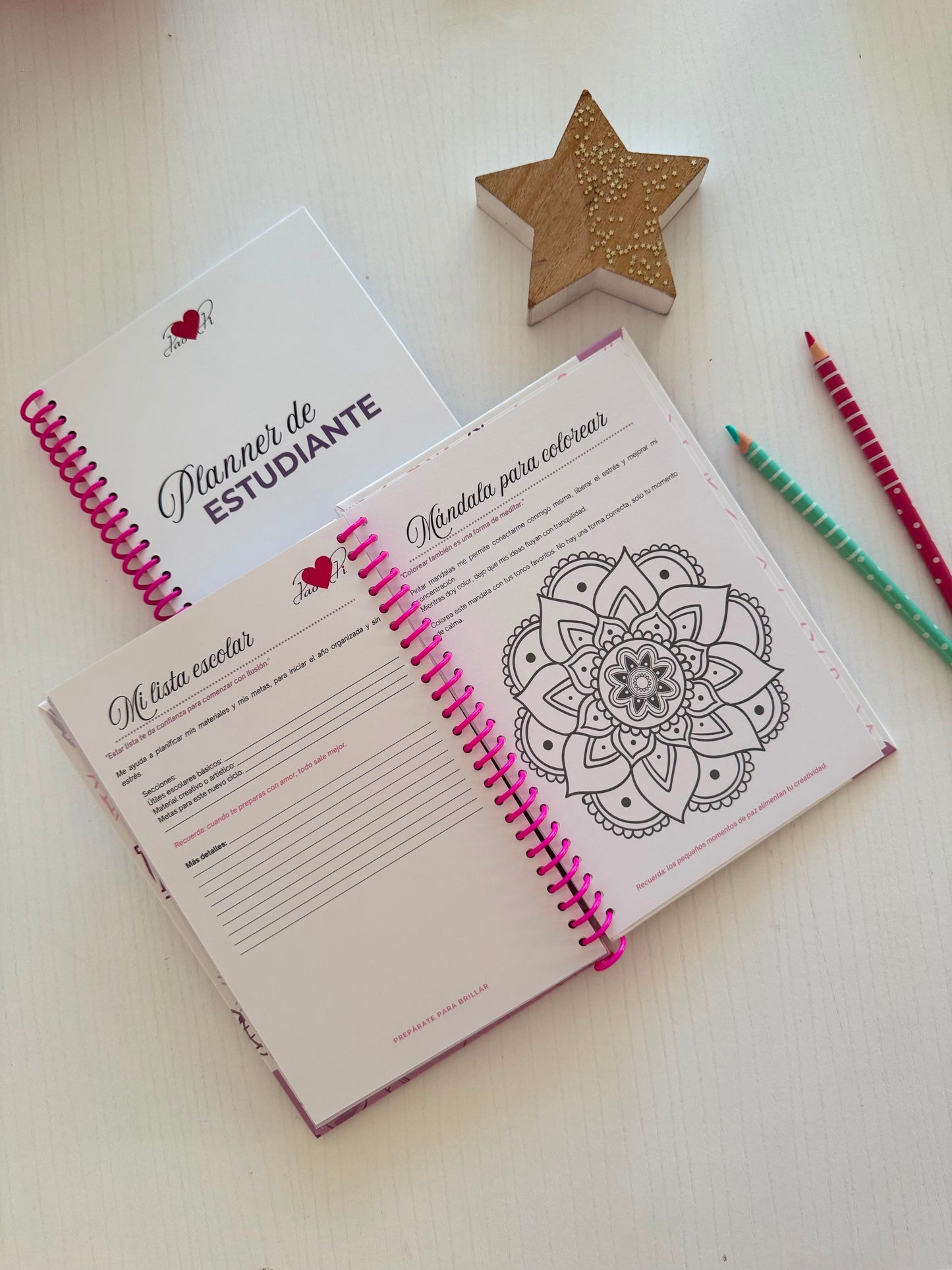 Planner de estudiante con espiral hojas resistentes cartulina brillante de la marca PaoPi