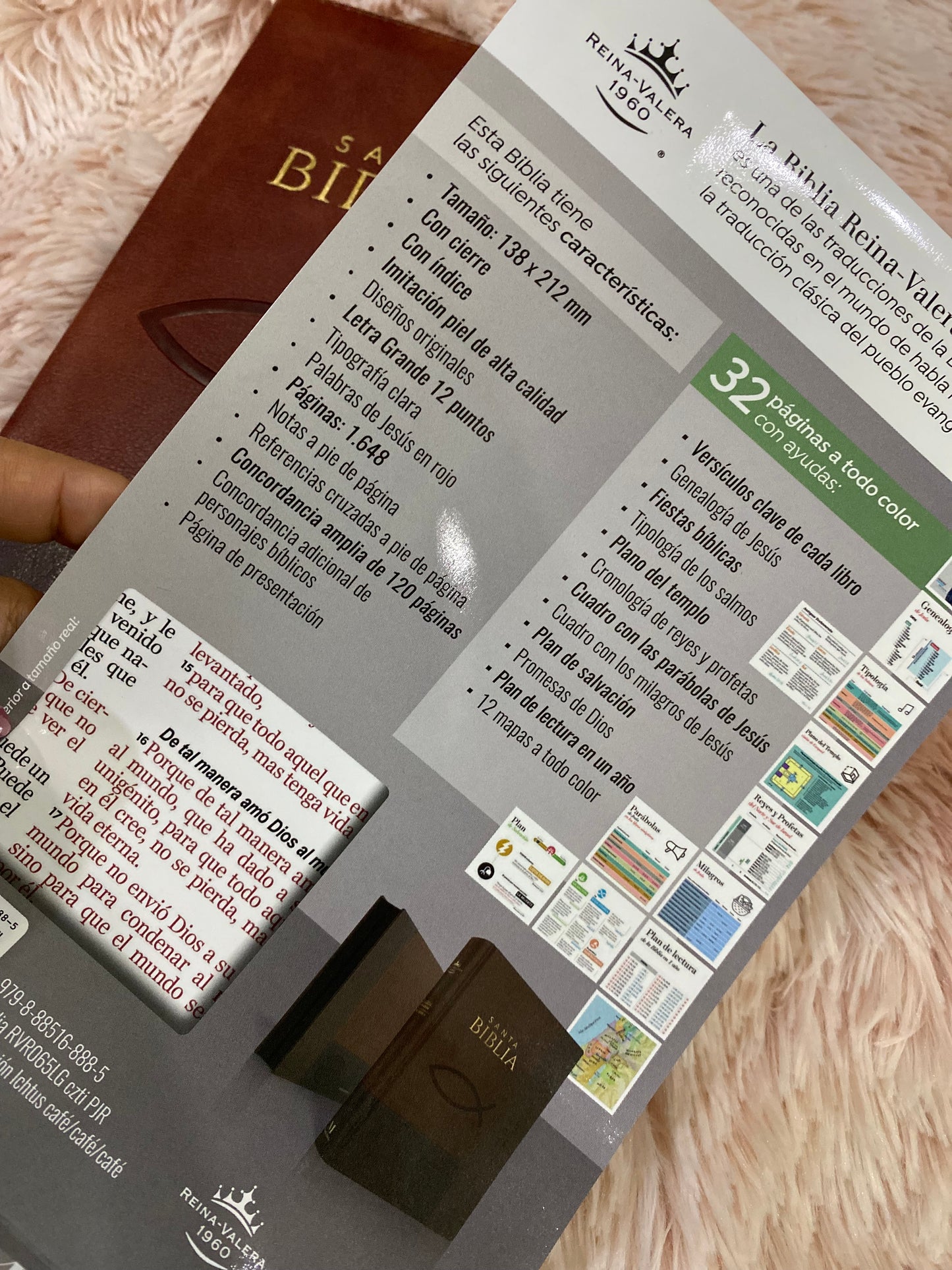 Biblia letra grande con cierre e índice versión RV1960 en símil piel con concordancia (tamaño manual)