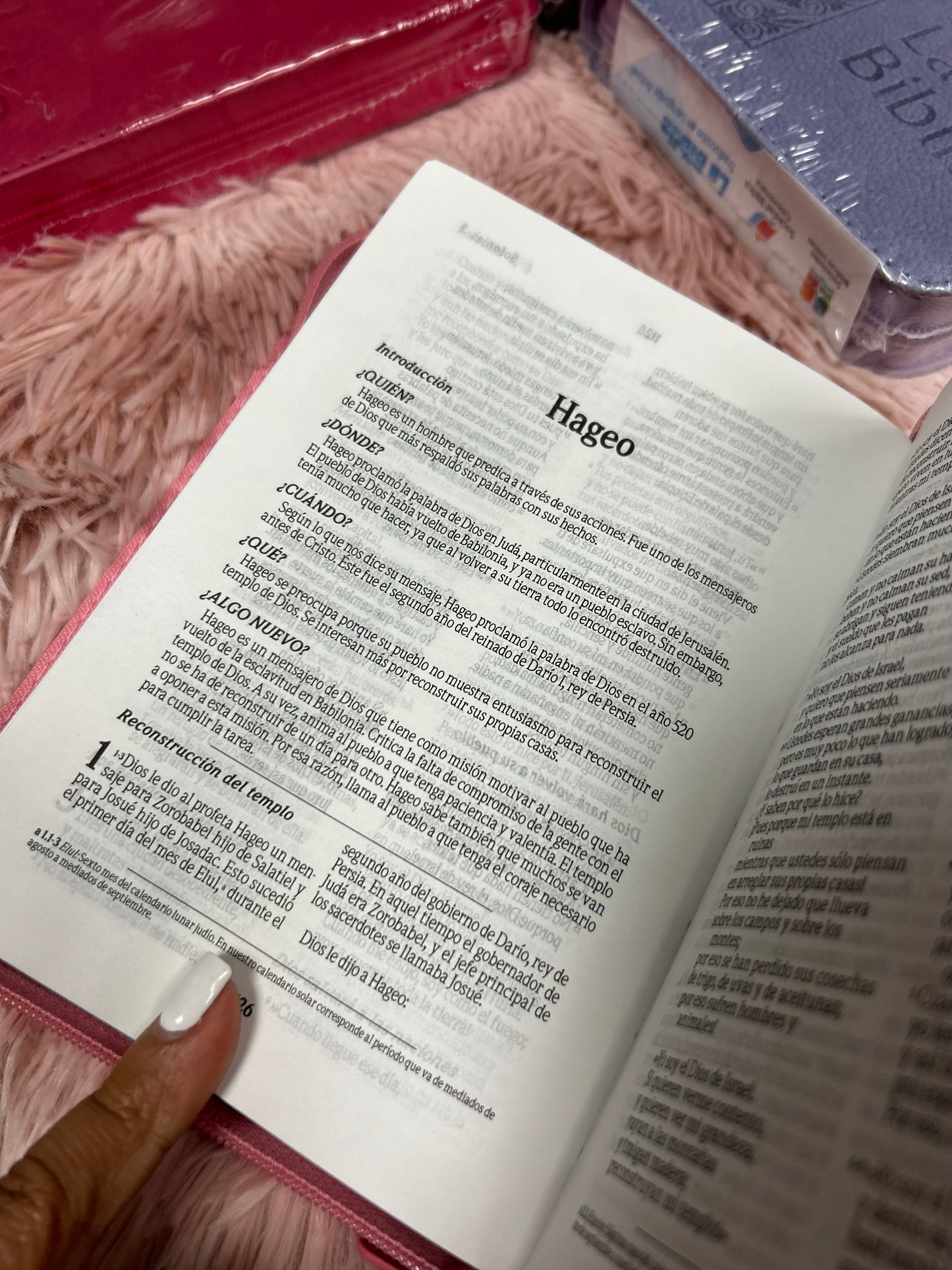 Biblia mediana tamaño compacta con cierre versión TLA letras grandes canto pintado