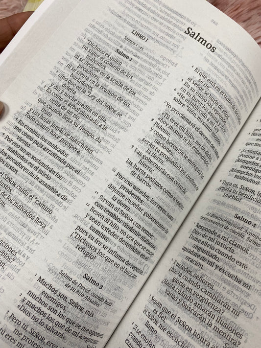 Biblia económica letra grande versión NVI papel delgado oscuro tapa rústica