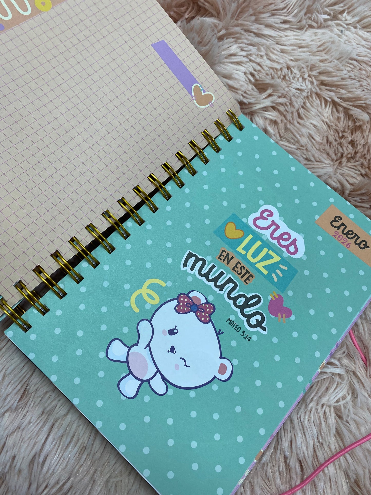 Agendas 2026 - Colección mugoshos de espirales