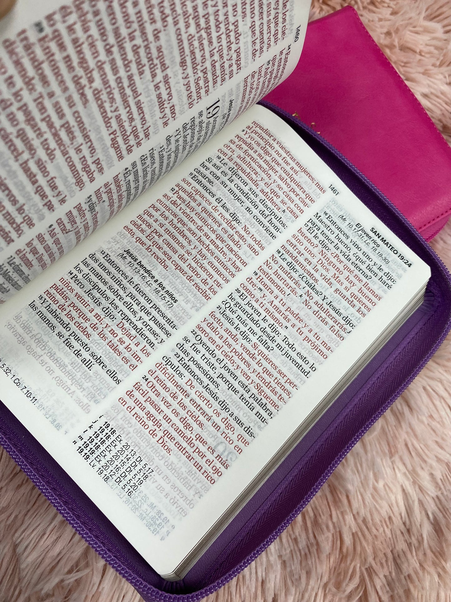 Biblia pequeña de letra grande 11 puntos con canto dorado y cierre versión RV60 con concordancia