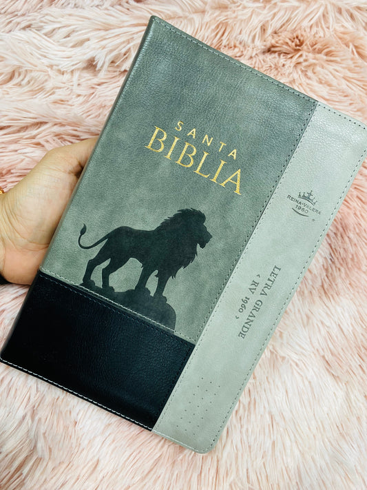 Biblia letra grande con cierre e índice versión RV1960 en símil piel con concordancia
