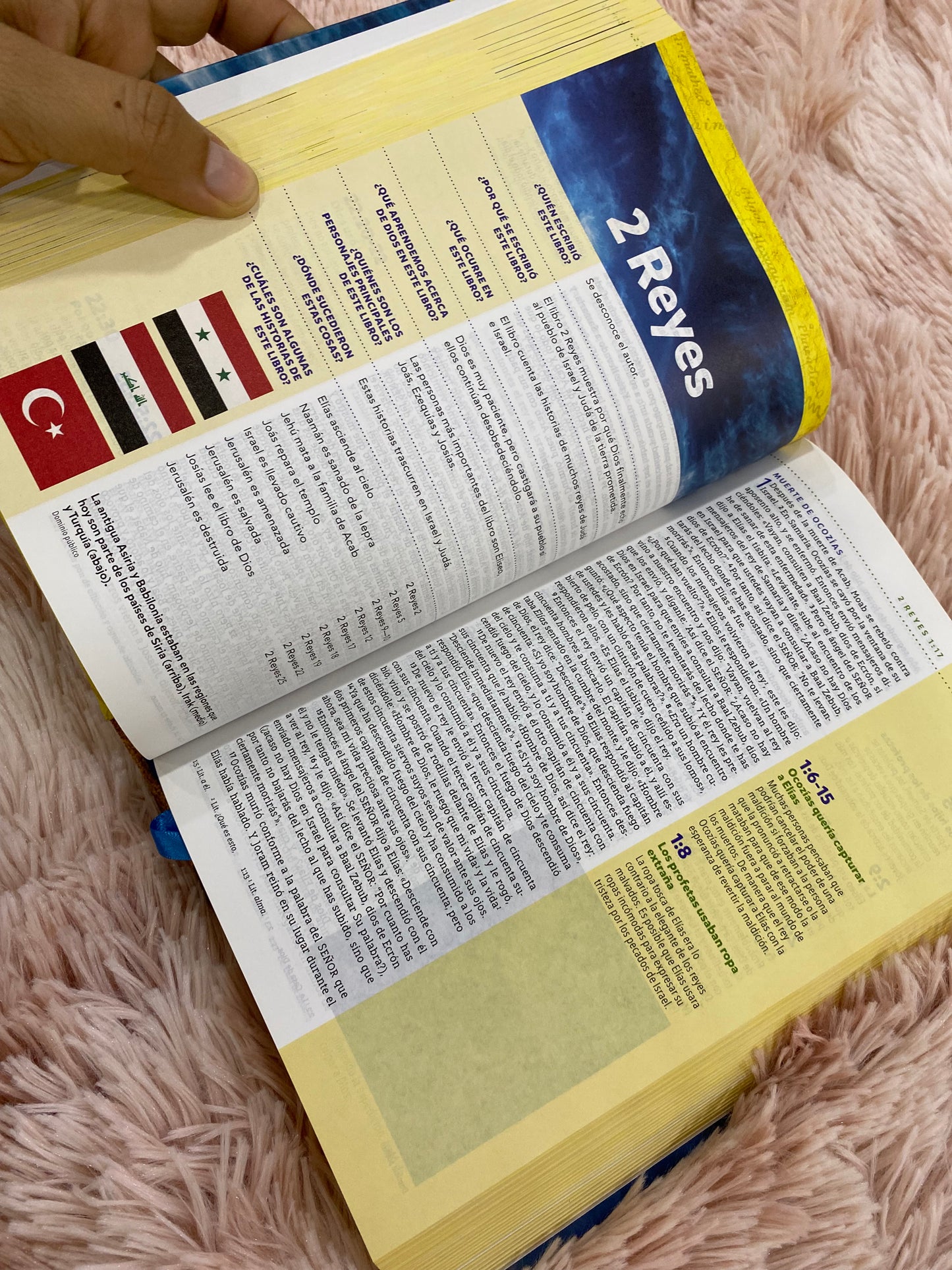 Biblia visual de estudio para niños versión NBLA