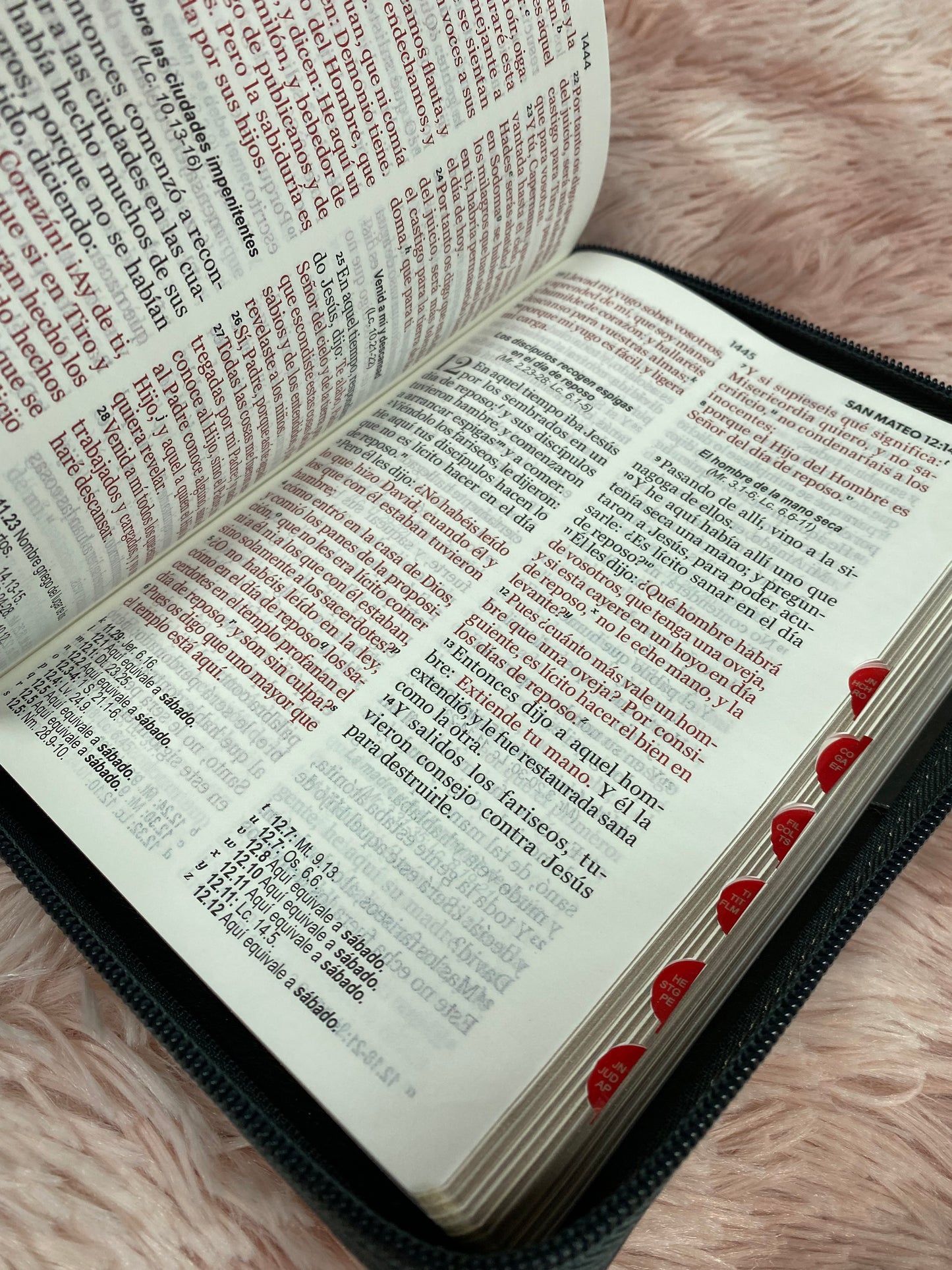 Biblia mediana de letra grande 11 puntos con cierre e índice versión RV1960 canto dorado palabras de Jesús en rojo y concordancia