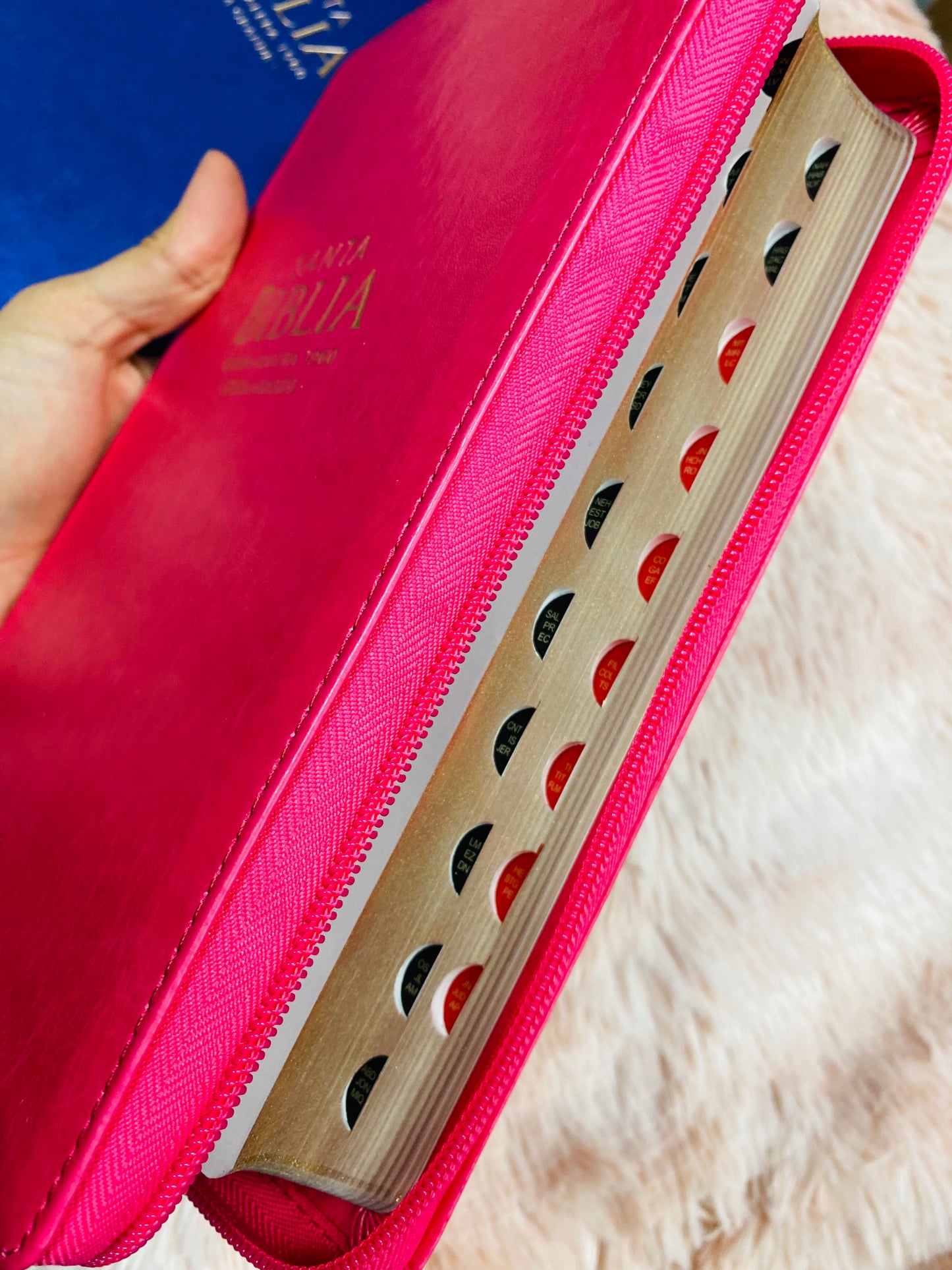 Biblia letra grande 12 puntos con índice cierre y canto dorado versión RV1960