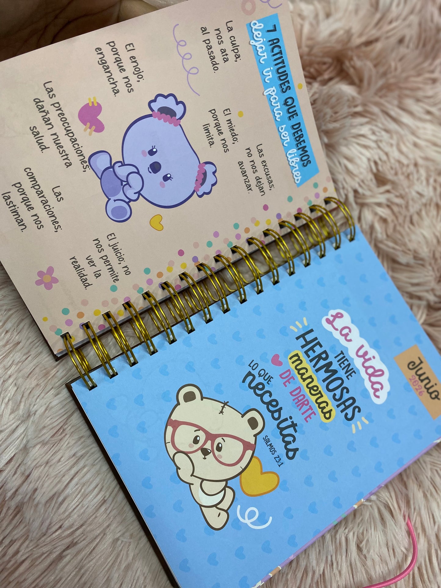 Agendas 2026 - Colección mugoshos de espirales