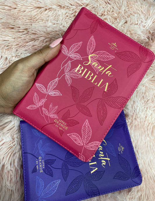 Biblia pequeña letra grande 10 puntos versión RV1960 con cierre canto dorado y concordancia