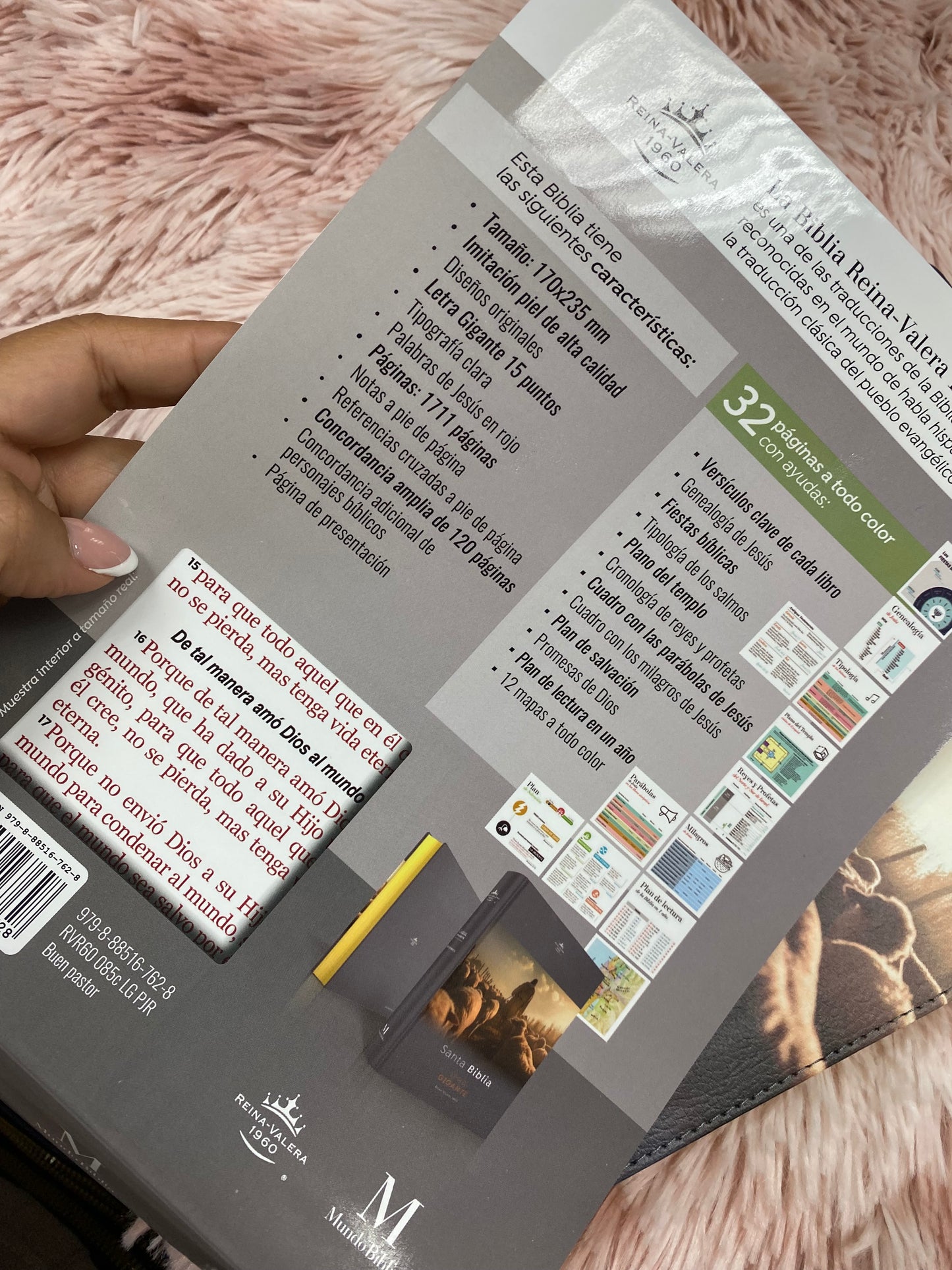 Biblia letra gigante de 15 puntos en tapa flexible con canto dorado versión RV1960