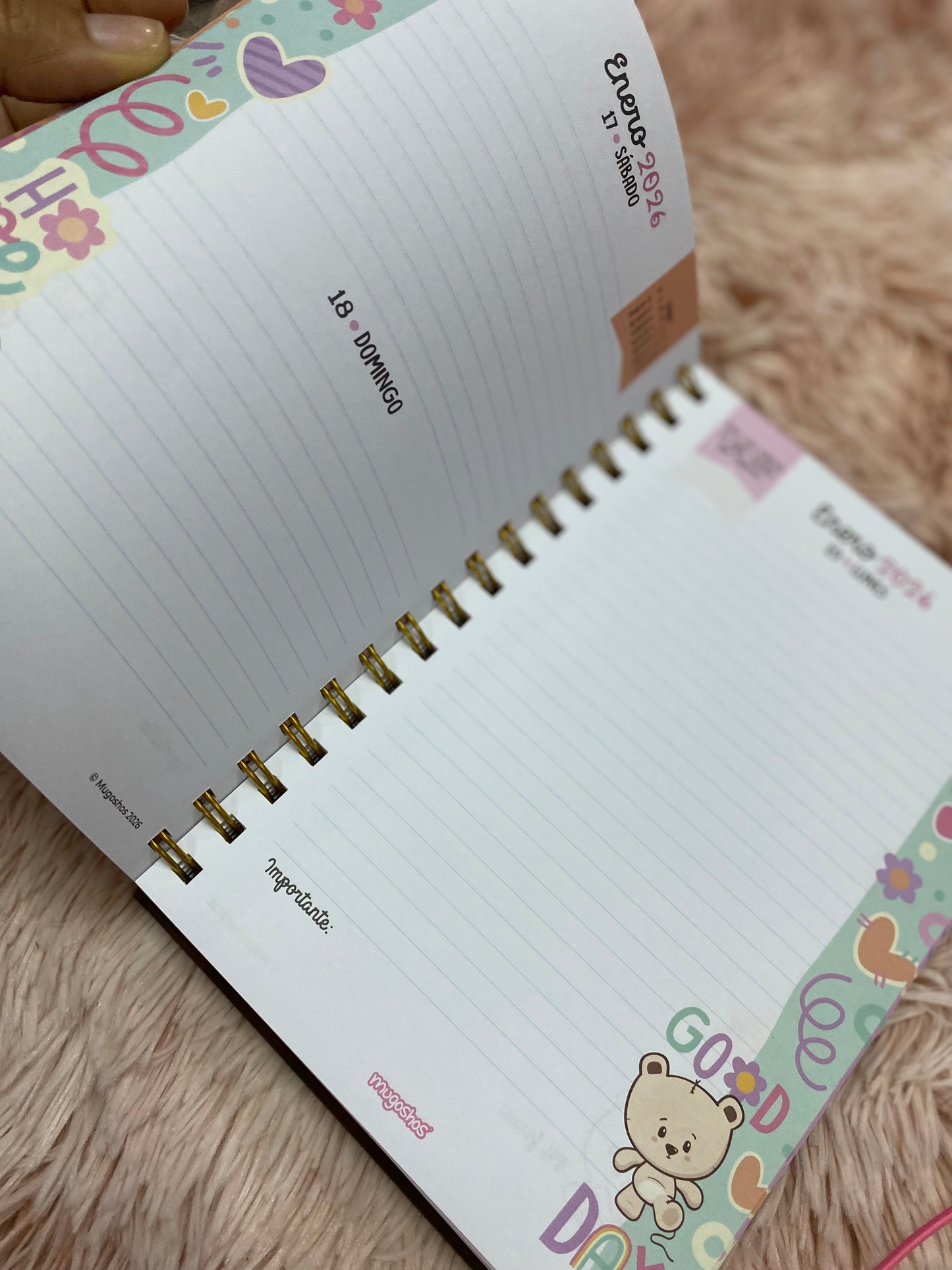 Agendas 2026 - Colección mugoshos de espirales