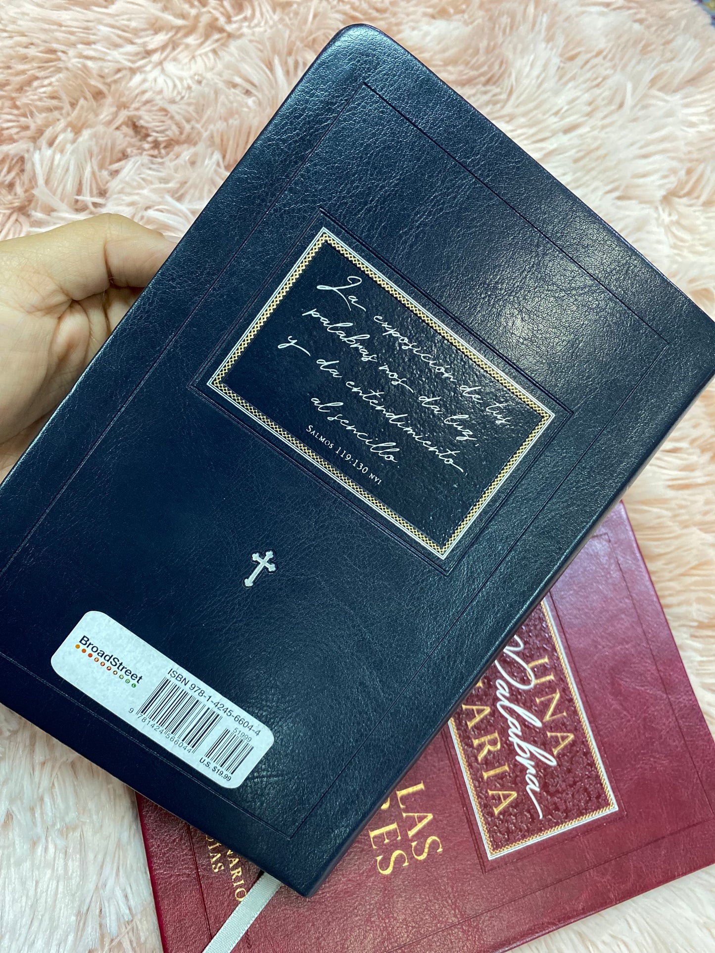 Libro devocional: una palabra diaria para los hombres