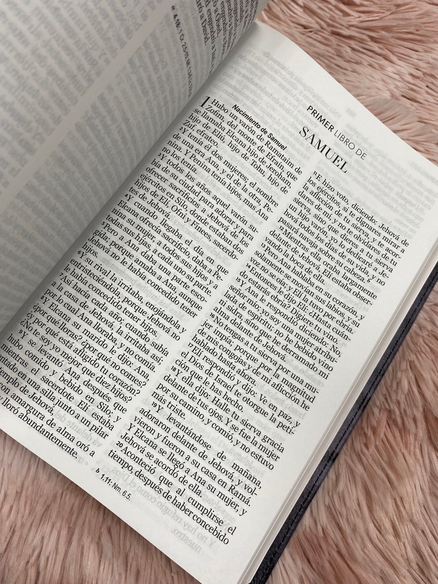 Biblia león de Judá letra grande 12 puntos tapa flexible versión RV1960 con palabras de Jesús en rojo y concordancia