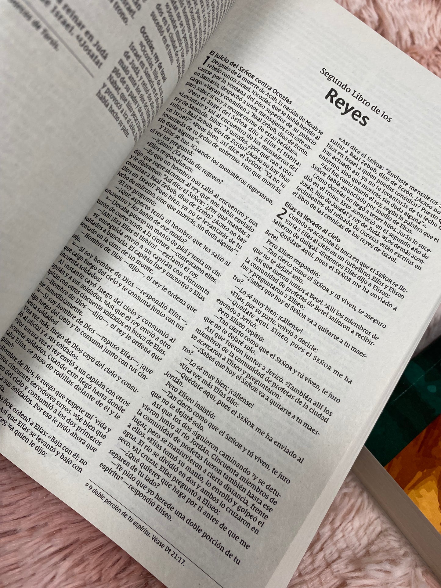 Biblias económicas tapa rústica papel imprenta versión NVI