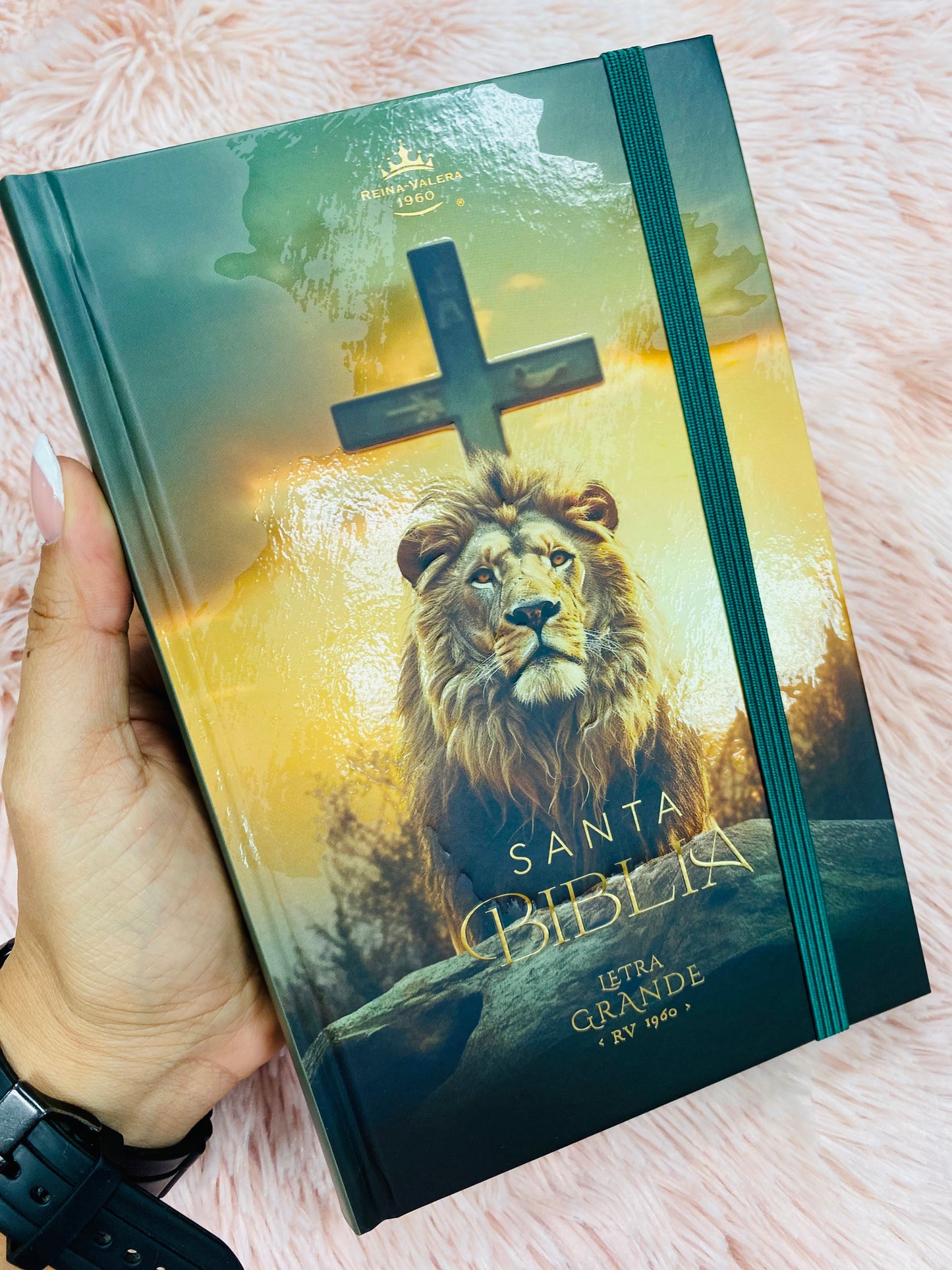 Biblia versión RV1960 de tapa dura diseño en relieve de letra grande 12 puntos con canto pintado, liga, palabras de Jesús en rojo con concordancia