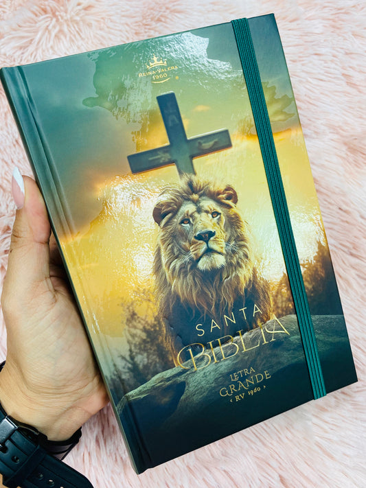 Biblia versión RV1960 de tapa dura diseño en relieve de letra grande 12 puntos con canto pintado, liga, palabras de Jesús en rojo con concordancia