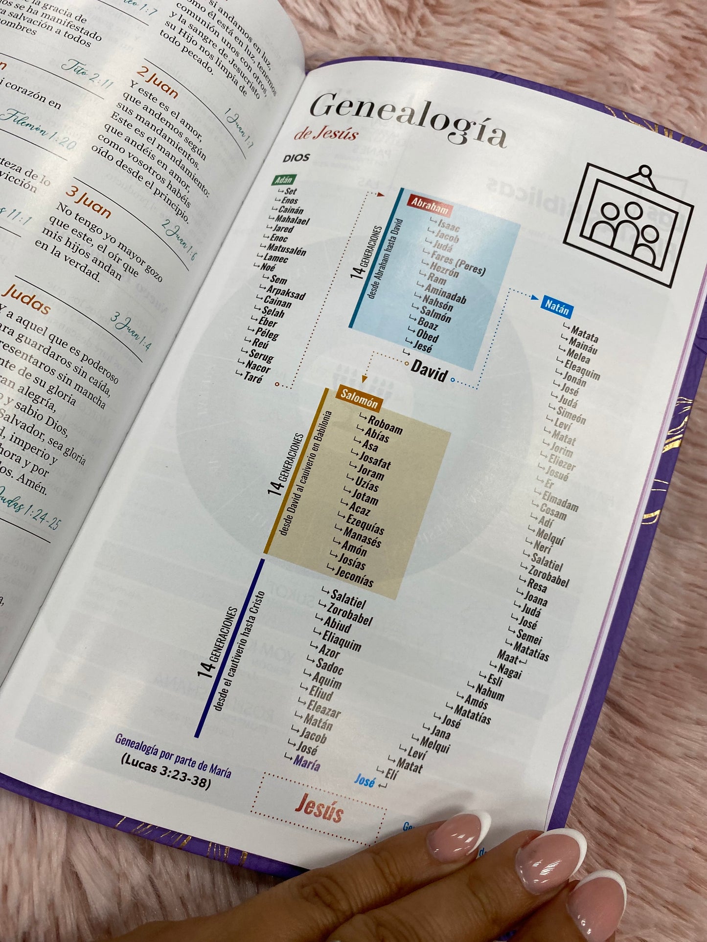 Biblia versión RV1960 en imitación piel de alta calidad letra grande 11,5 puntos y cierre canto pintado con concordancia y palabras de Jesús en rojo