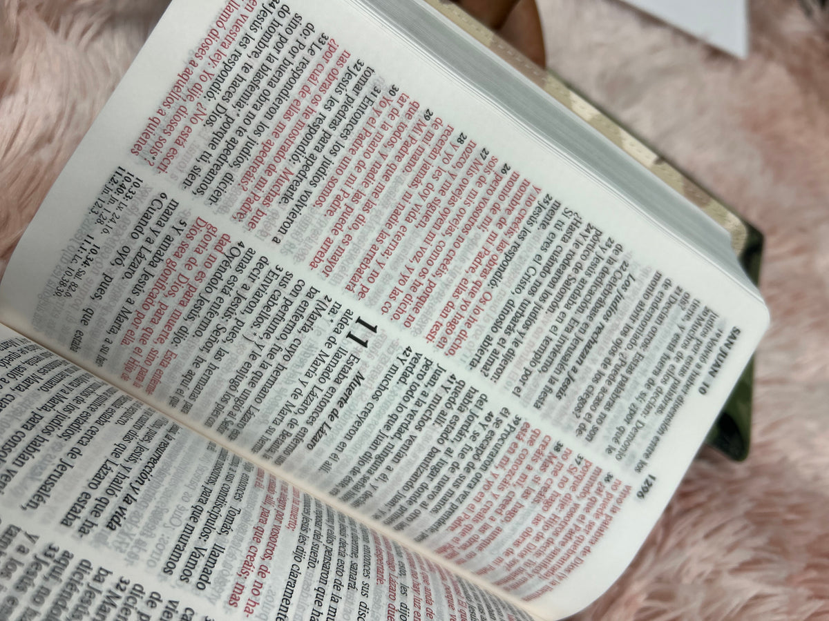 Biblia letra grande 10 puntos versión RV1960 tamaño compacta camuflada beige palabras de Jesús en rojo