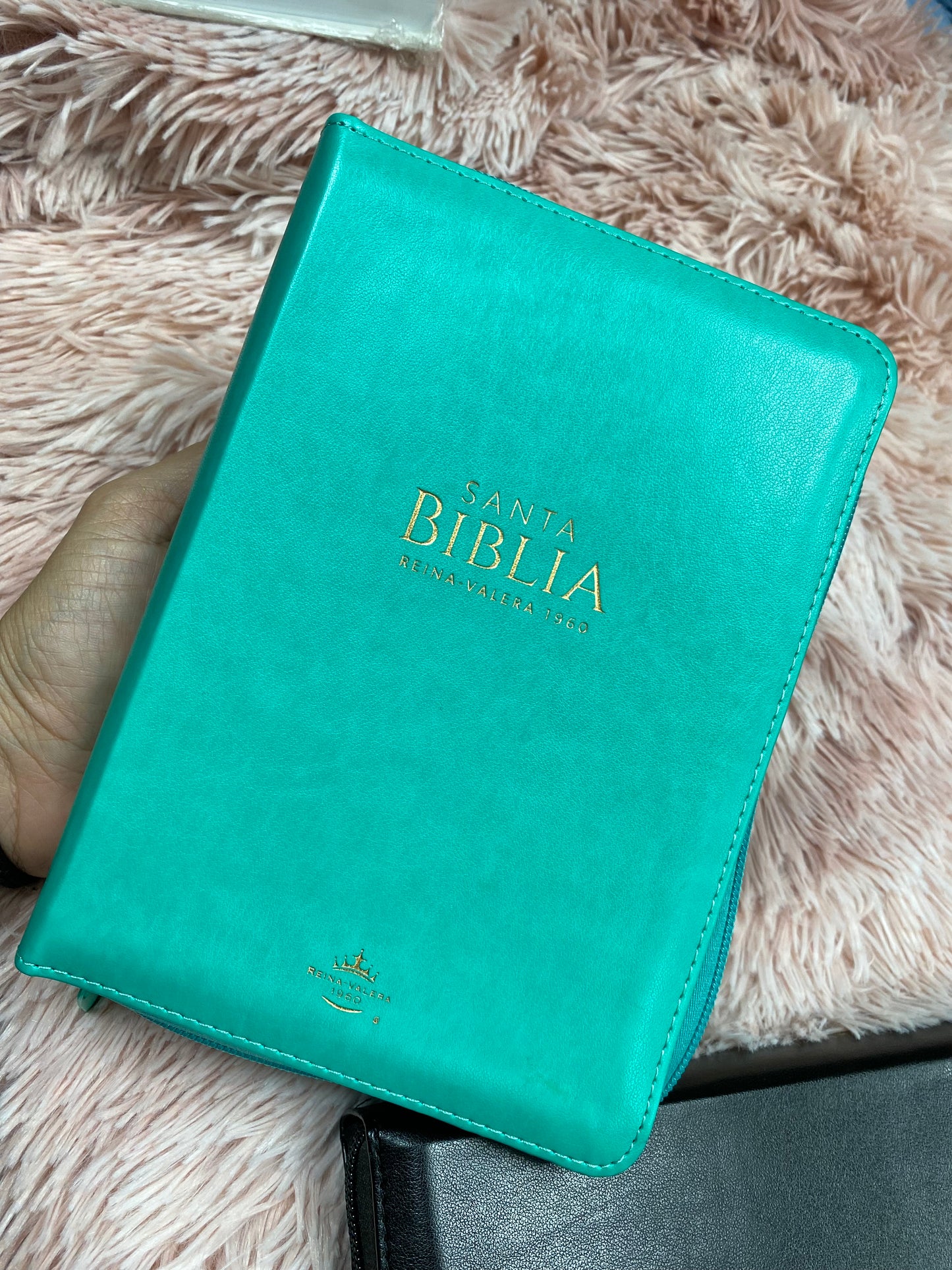 Biblia pequeña de letra grande 11 puntos con canto dorado y cierre versión RV1960 con concordancia