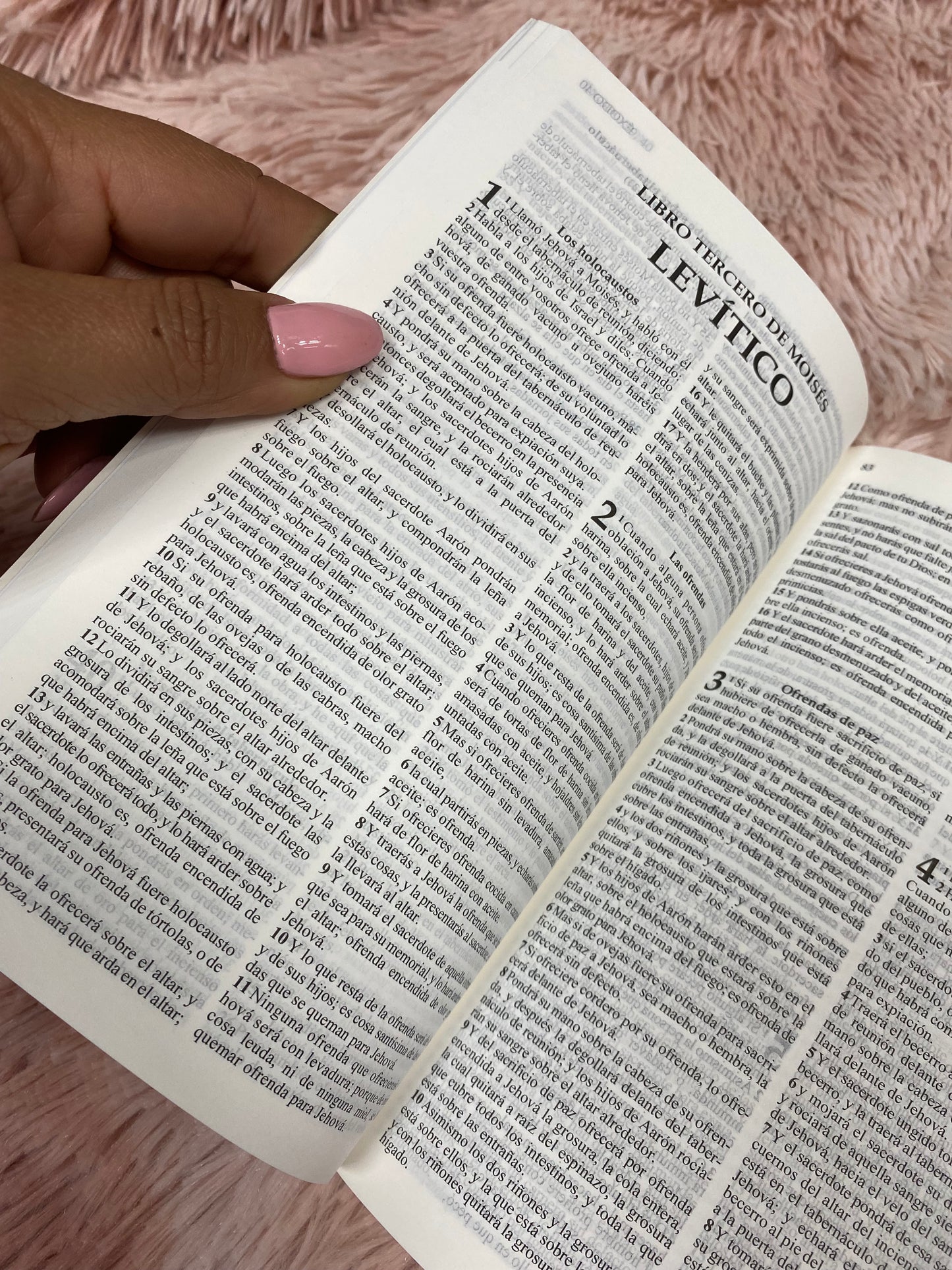 Biblias económicas tapa rústica papel blanco versión RV1960 edición promesas