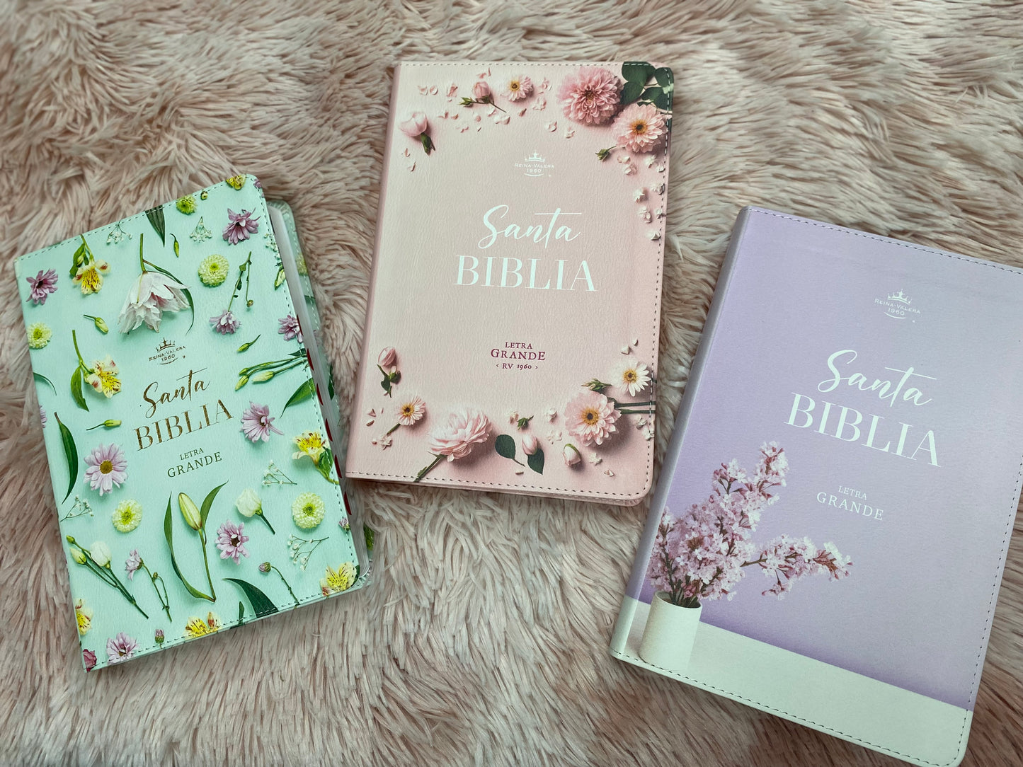 Biblia letra grande 12 puntos tapa flexible versión RV1960 con índice y con concordancia