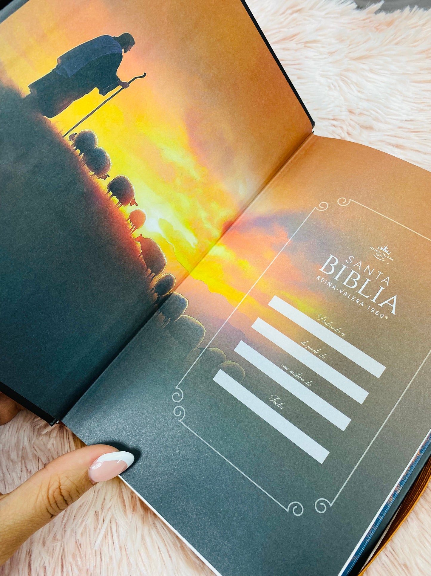 Biblia versión RV1960 de tapa dura diseño en relieve de letra grande 12 puntos con canto pintado, liga, palabras de Jesús en rojo con concordancia