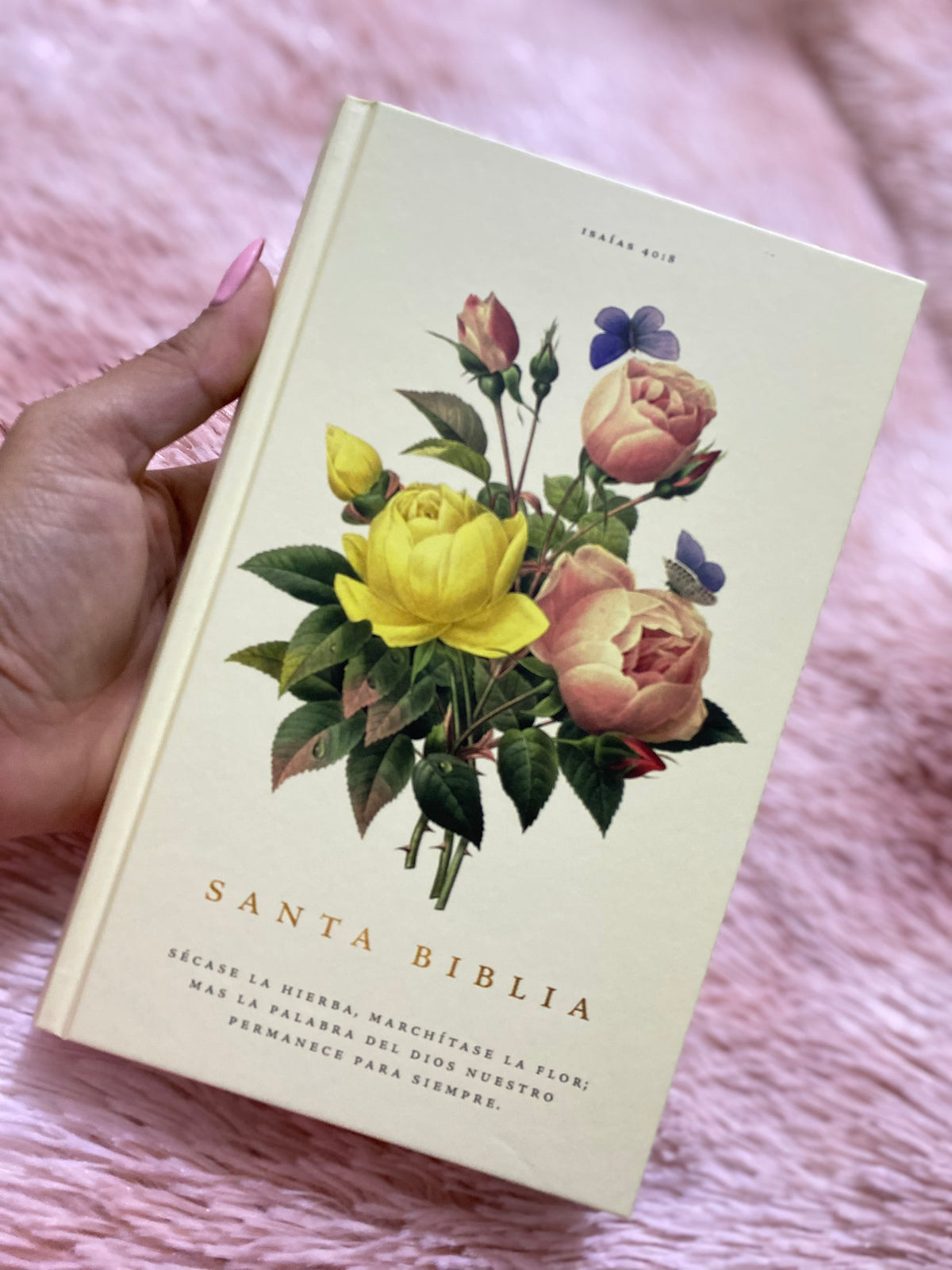 Biblia tapa dura letra grande versión RV1960 con concordancia papel blanco
