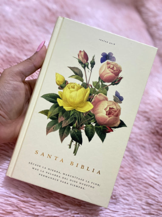 Biblia tapa dura letra grande versión RV1960 con concordancia papel blanco