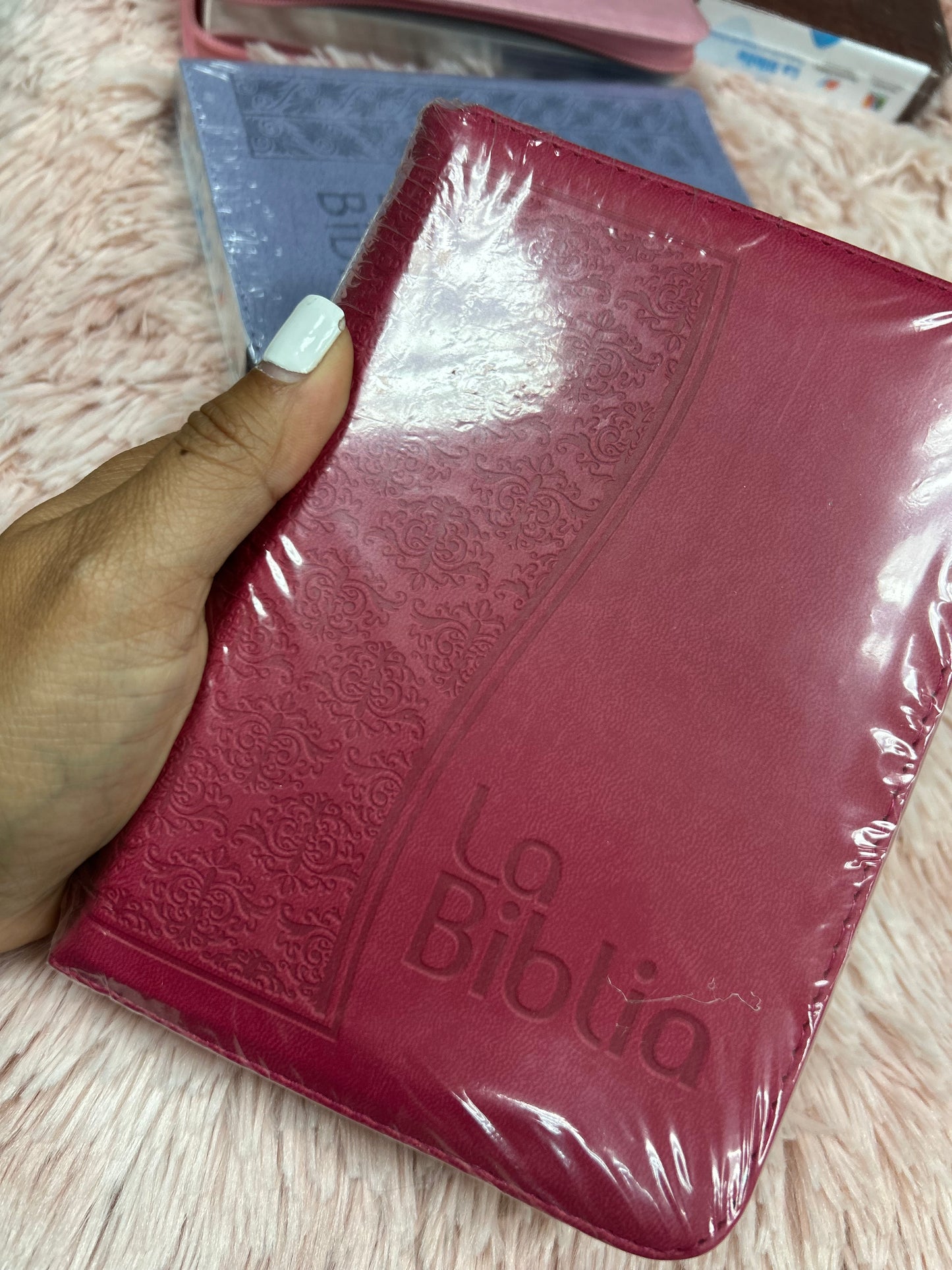 Biblia mediana tamaño compacta con cierre versión TLA letras grandes canto pintado