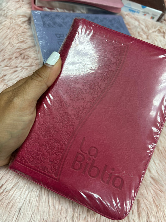Biblia mediana tamaño compacta con cierre versión TLA letras grandes canto pintado