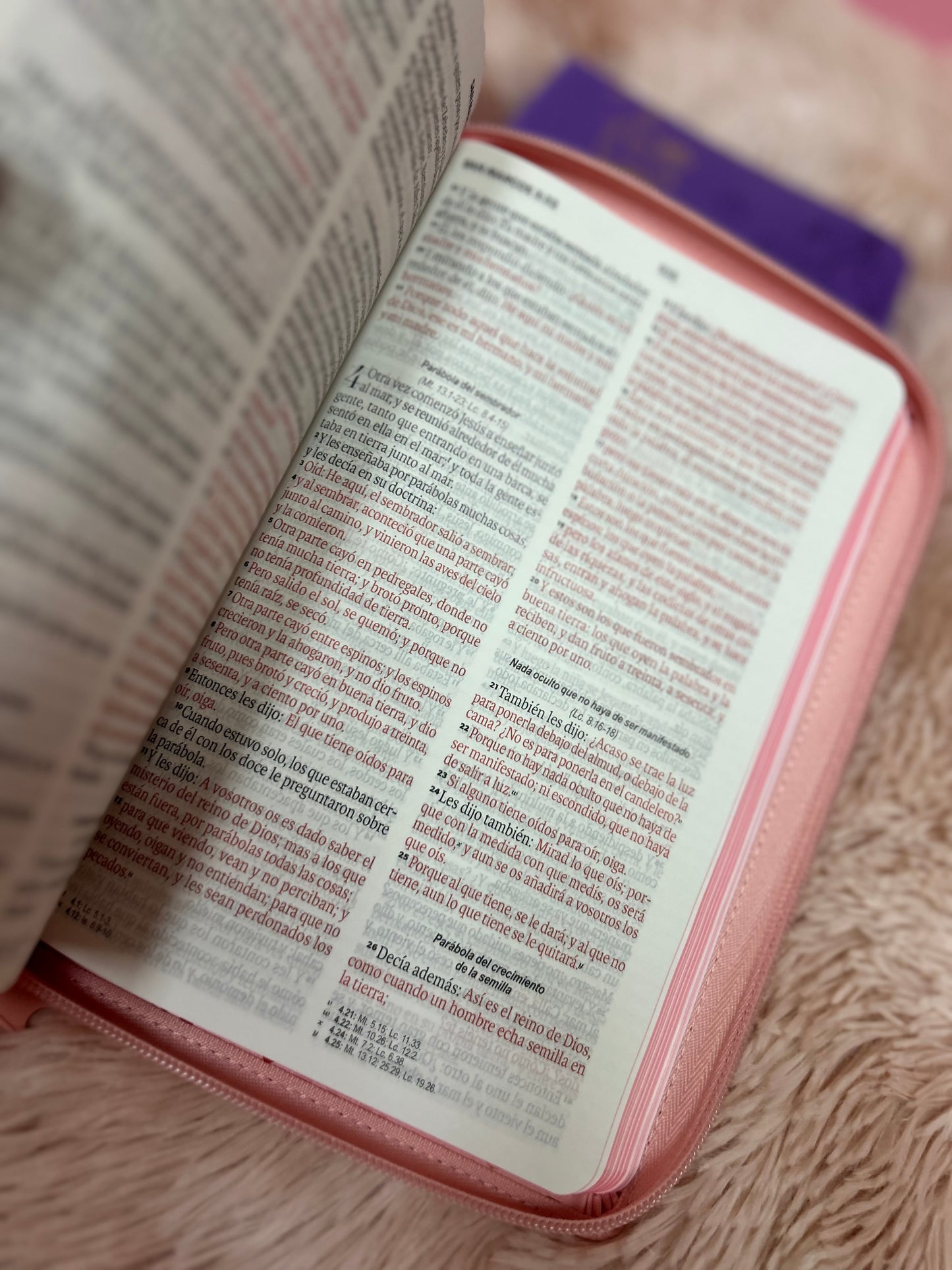 Biblia de letra grande 11,5 puntos con cierre en símil piel canto pintado palabras de Jesús en rojo y concordancia