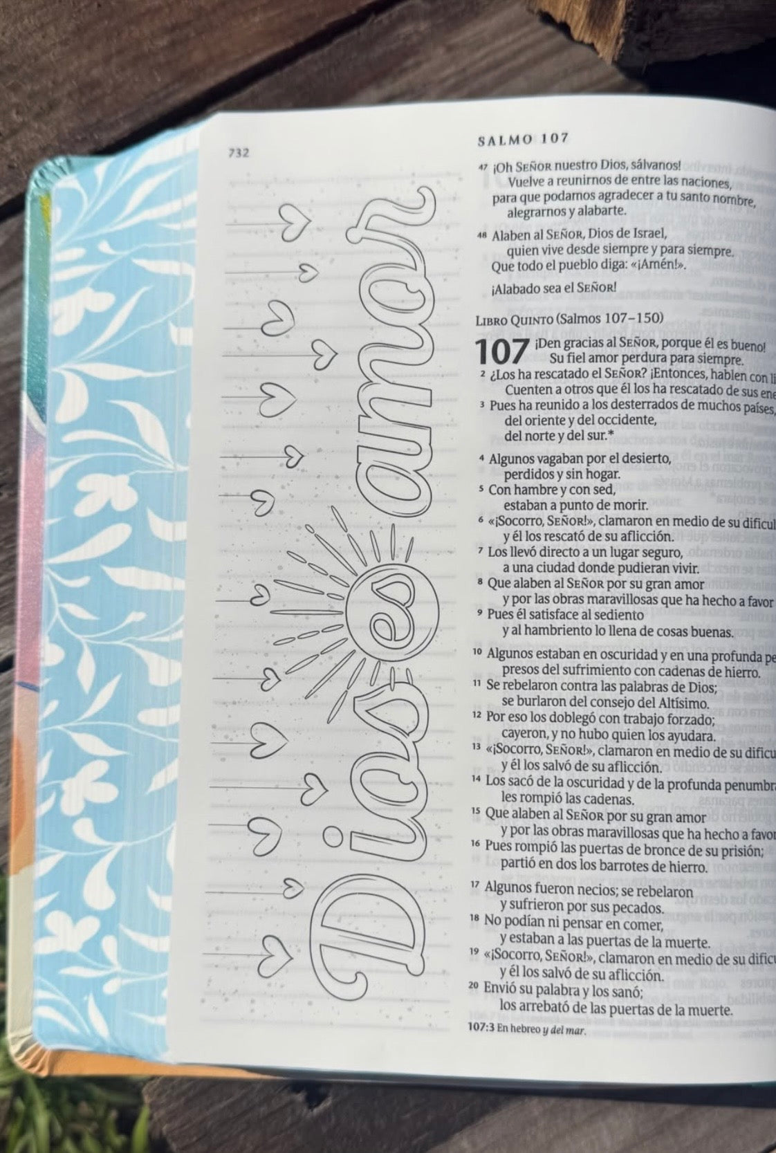 Biblia inspira artística de apuntes e ilustraciones versión NTV letra mediana