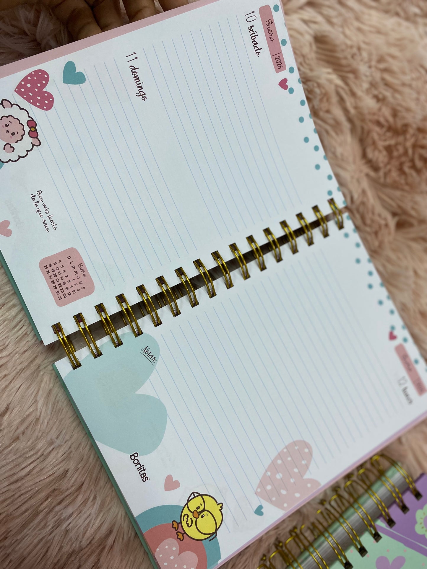 Agendas 2026 - Colección borlitas de espirales